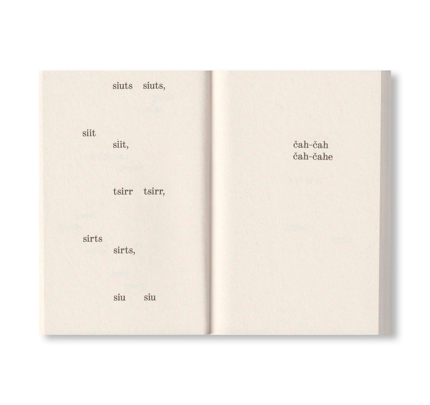 WHAT BIRDS SAY by Elfi Seidel