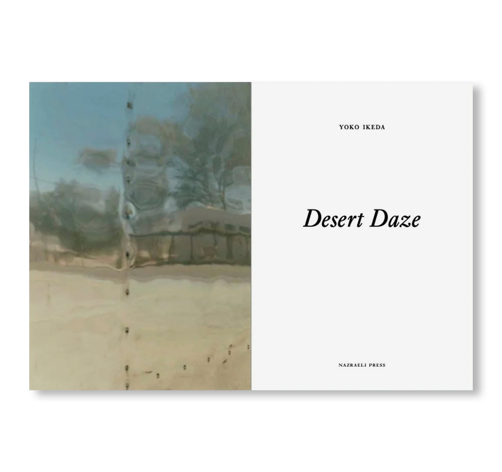 ONE PICTURE BOOK TWO #51: DESERT DAZE by Yoko Ikeda