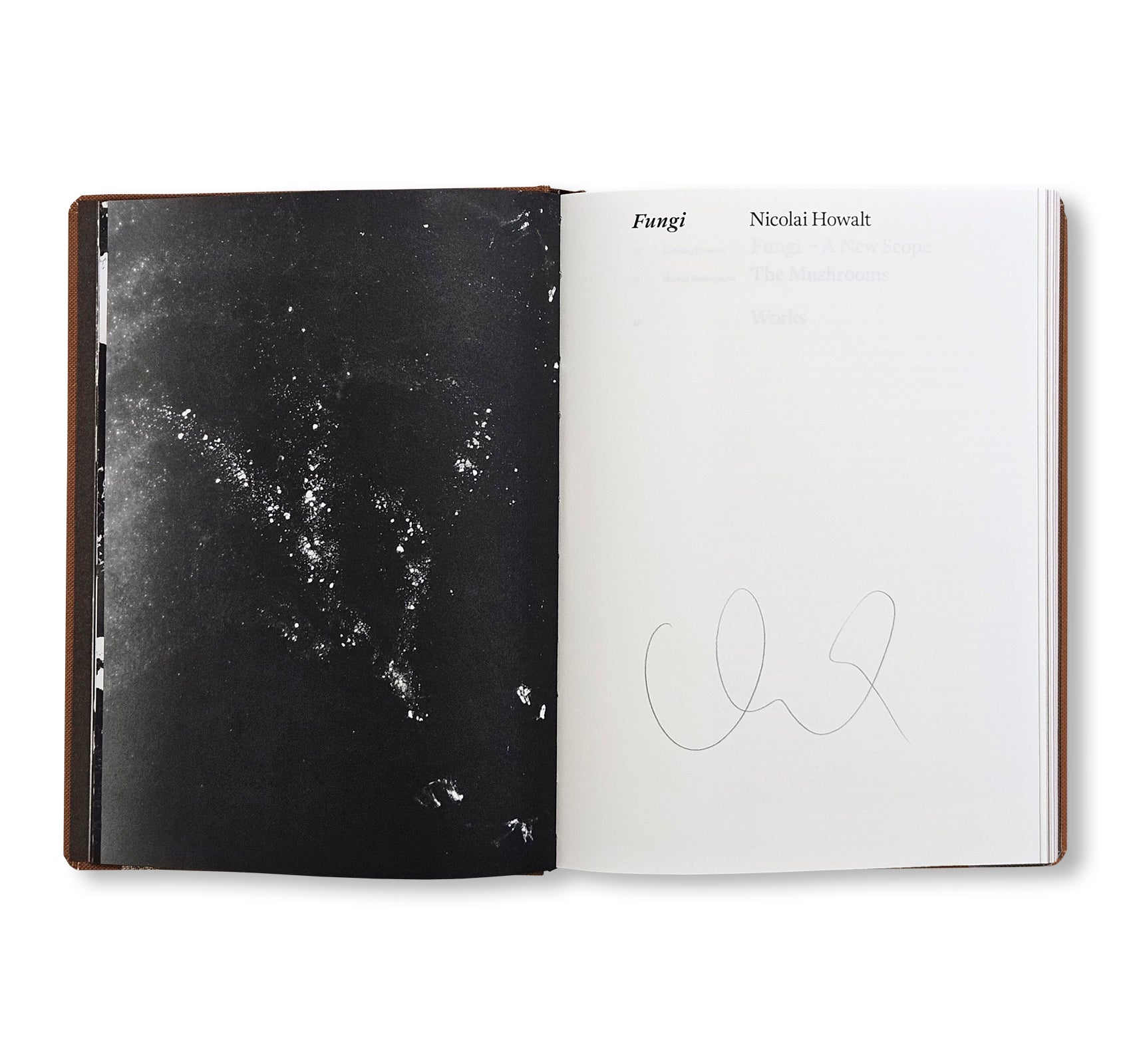 FUNGI by Nicolai Howalt