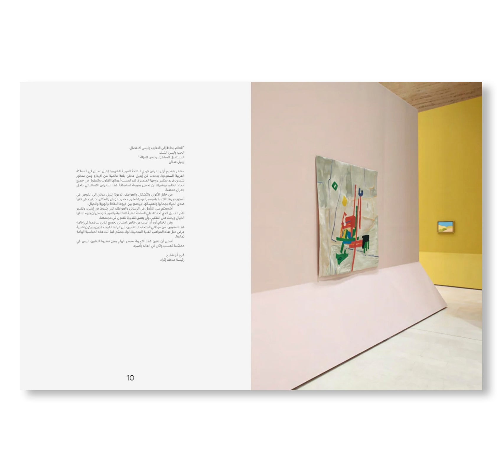 ETEL ADNAN by Etel Adnan (HATJE CANTZ)
