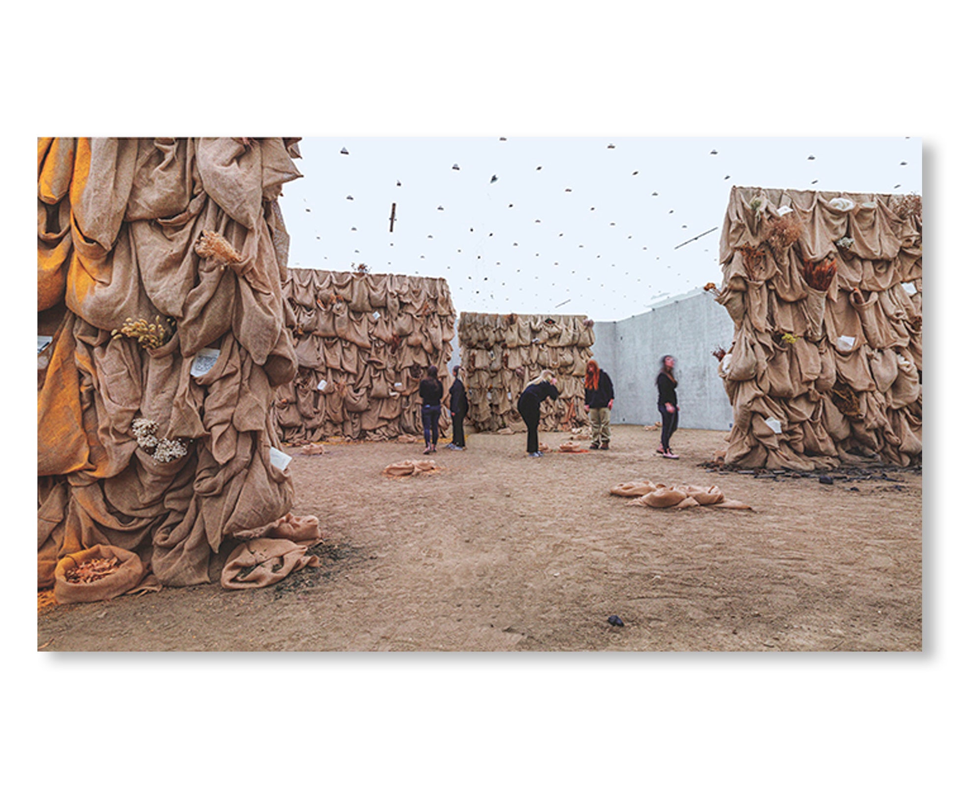 SOLANGE PESSOA (2023) by Solange Pessoa