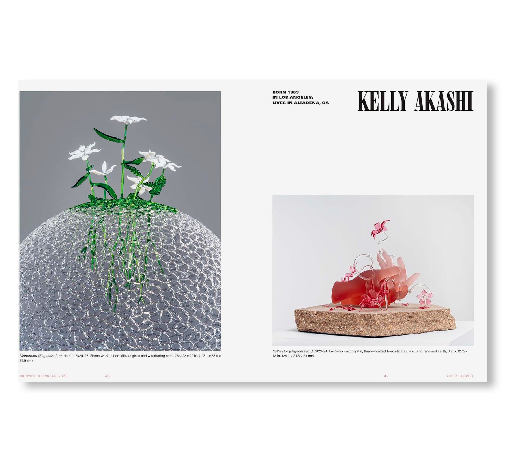 WHITNEY BIENNIAL 2026
