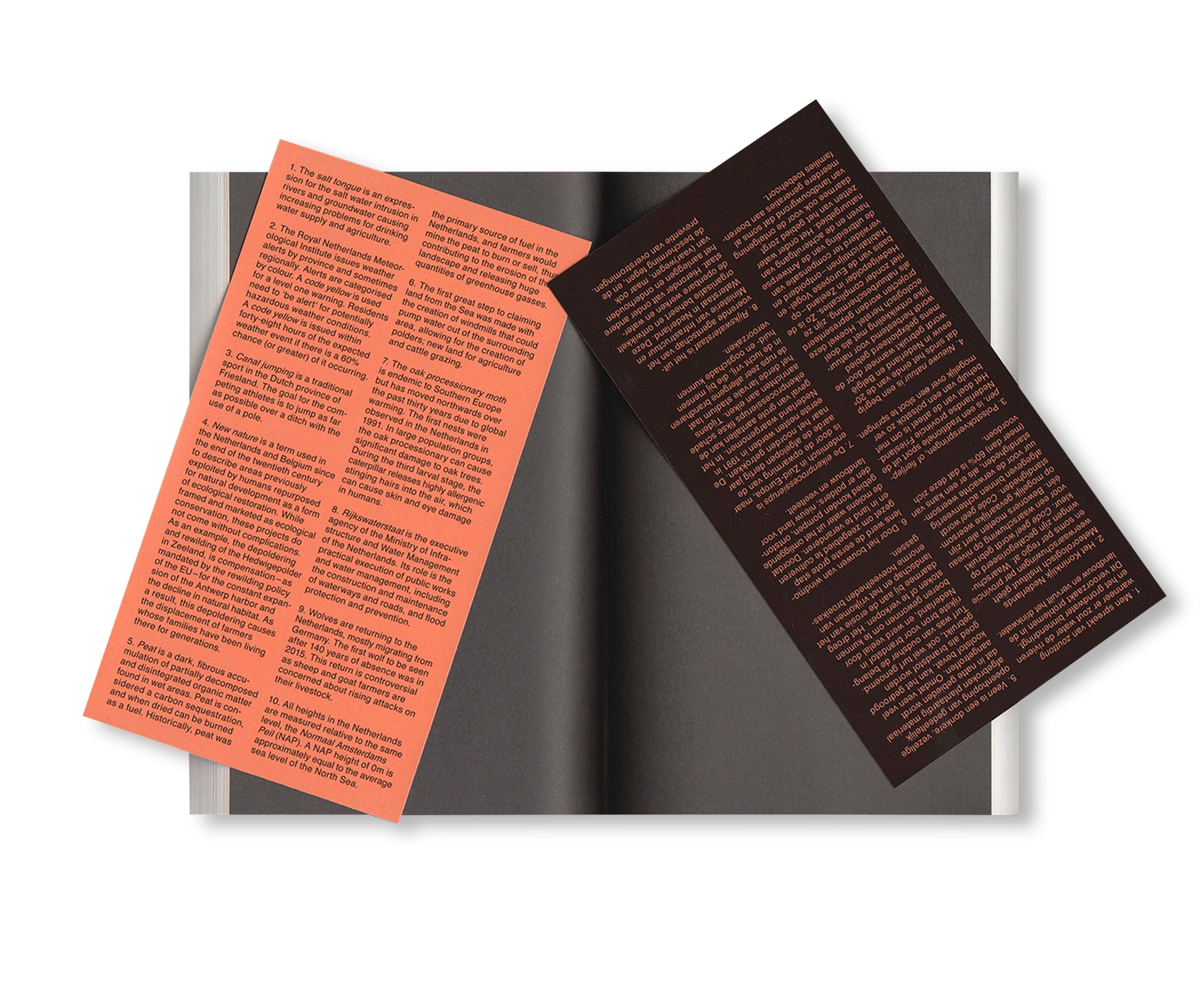 SCENES FROM THE POLDER WESTERN by Pilar Mata Dupont, Erika Roux