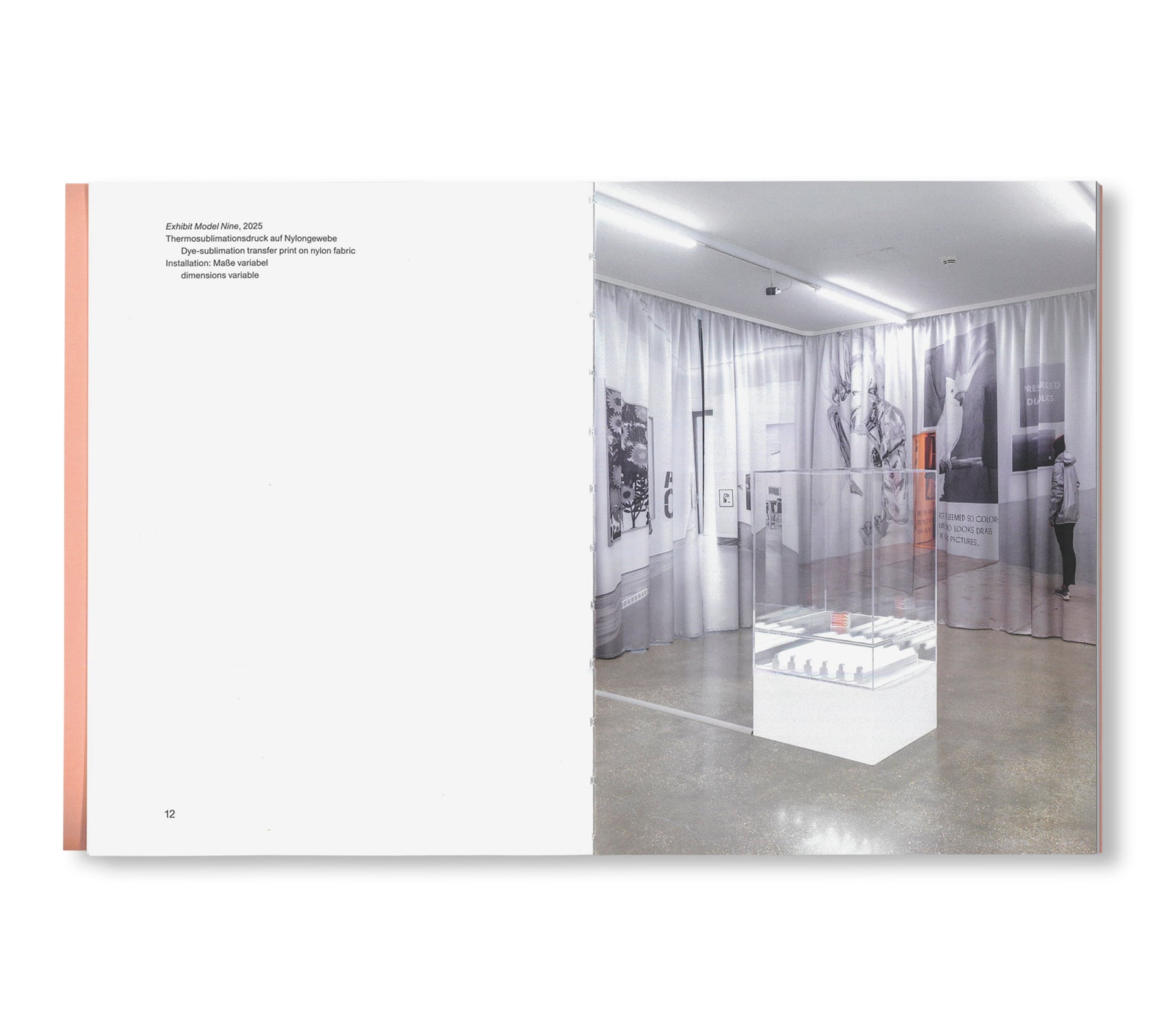 LIMITED COMPANY by Jonathan Monk