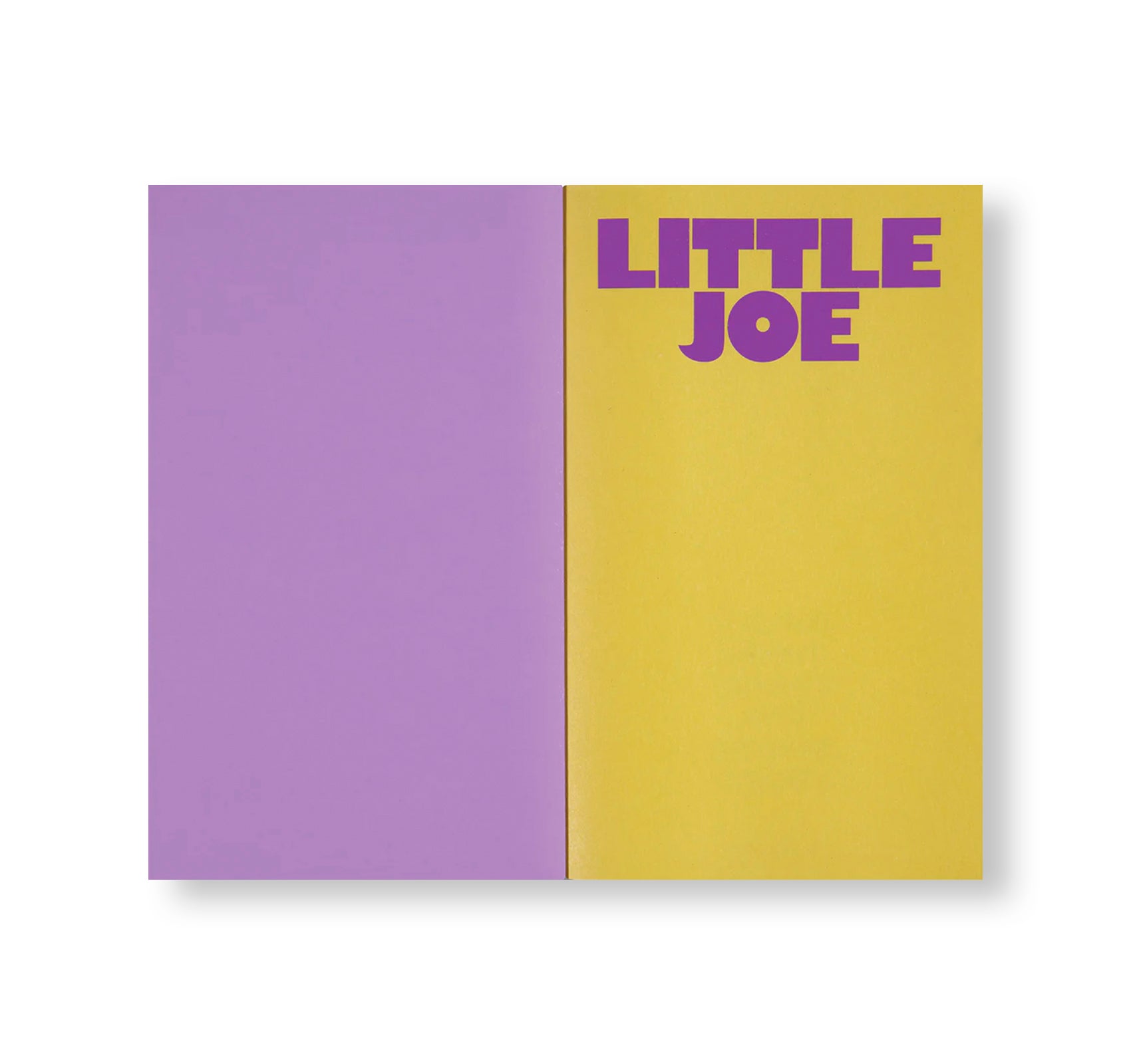 LITTLE JOE: A BOOK ABOUT QUEERS AND CINEMA, MOSTLY