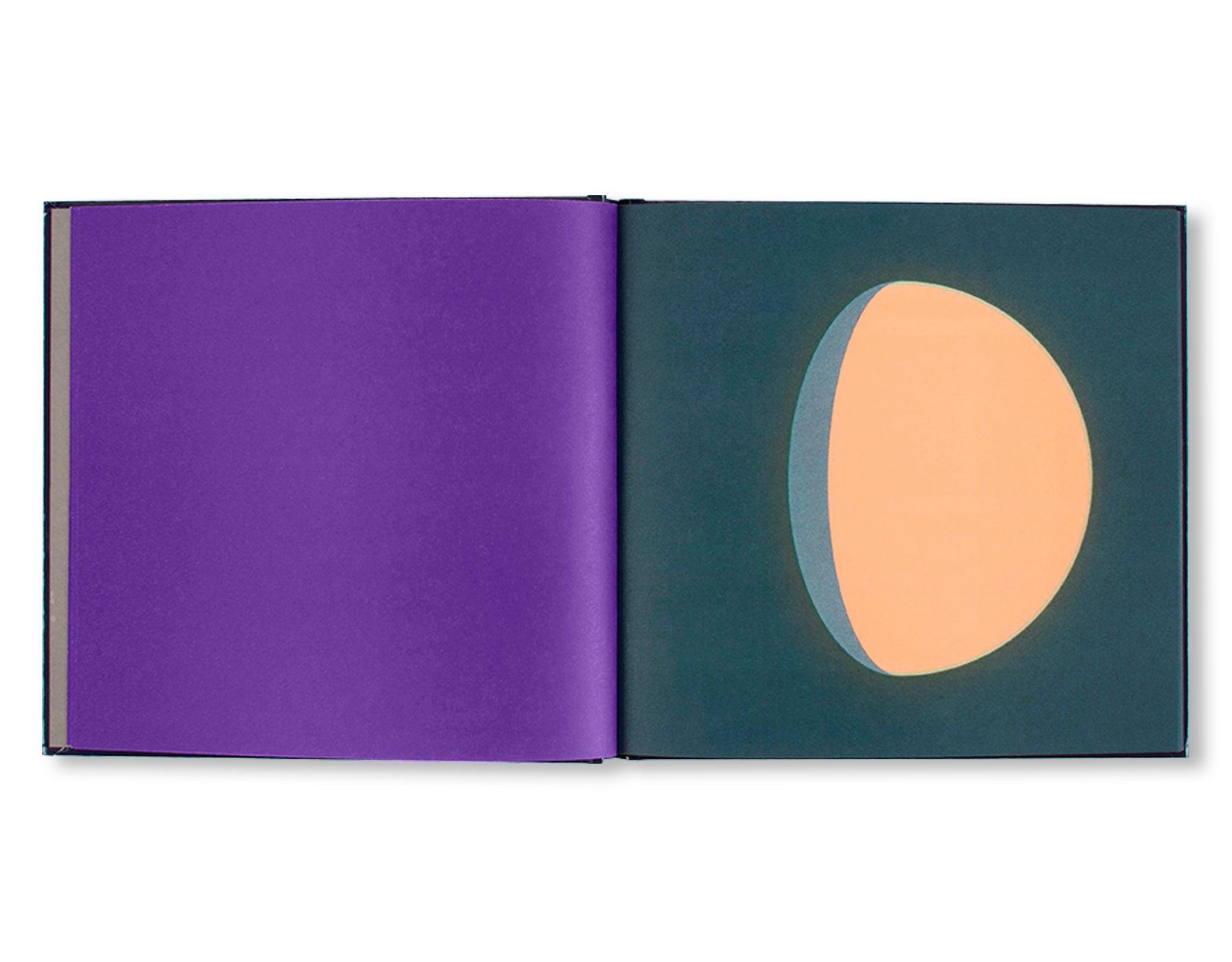 DANS LA LUNE by Fanette Mellier [THIRD EDITION]