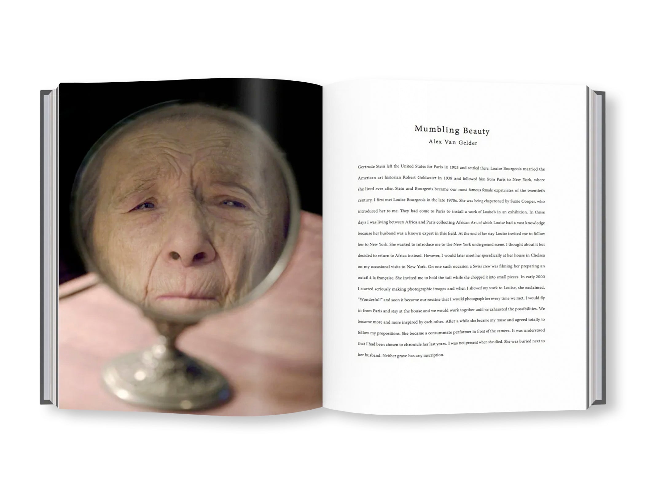 MUMBLING BEAUTY: LOUISE BOURGEOIS by Alex Van Gelder