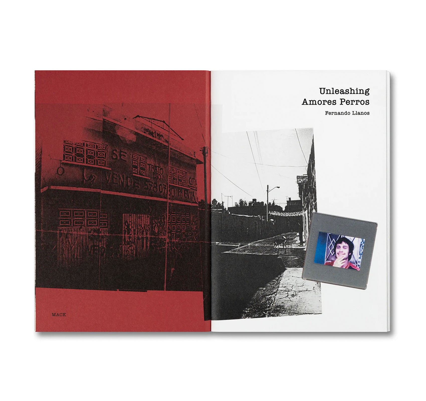 UNLEASHING AMORES PERROS by Fernando Llanos [ENGLISH EDITION]
