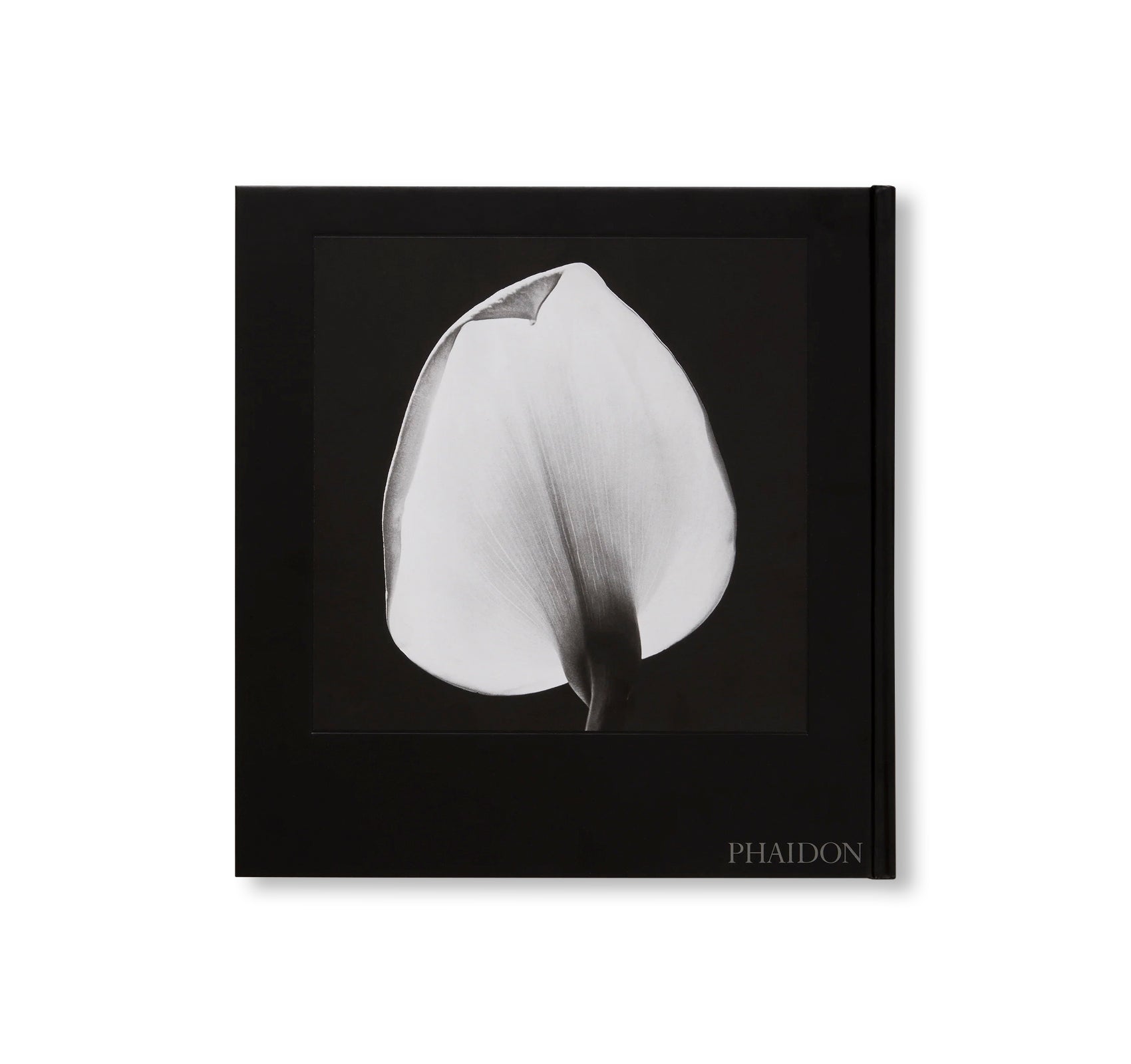 MAPPLETHORPE FLORA: THE COMPLETE FLOWERS by Robert Mapplethorpe [NEW EDITION]