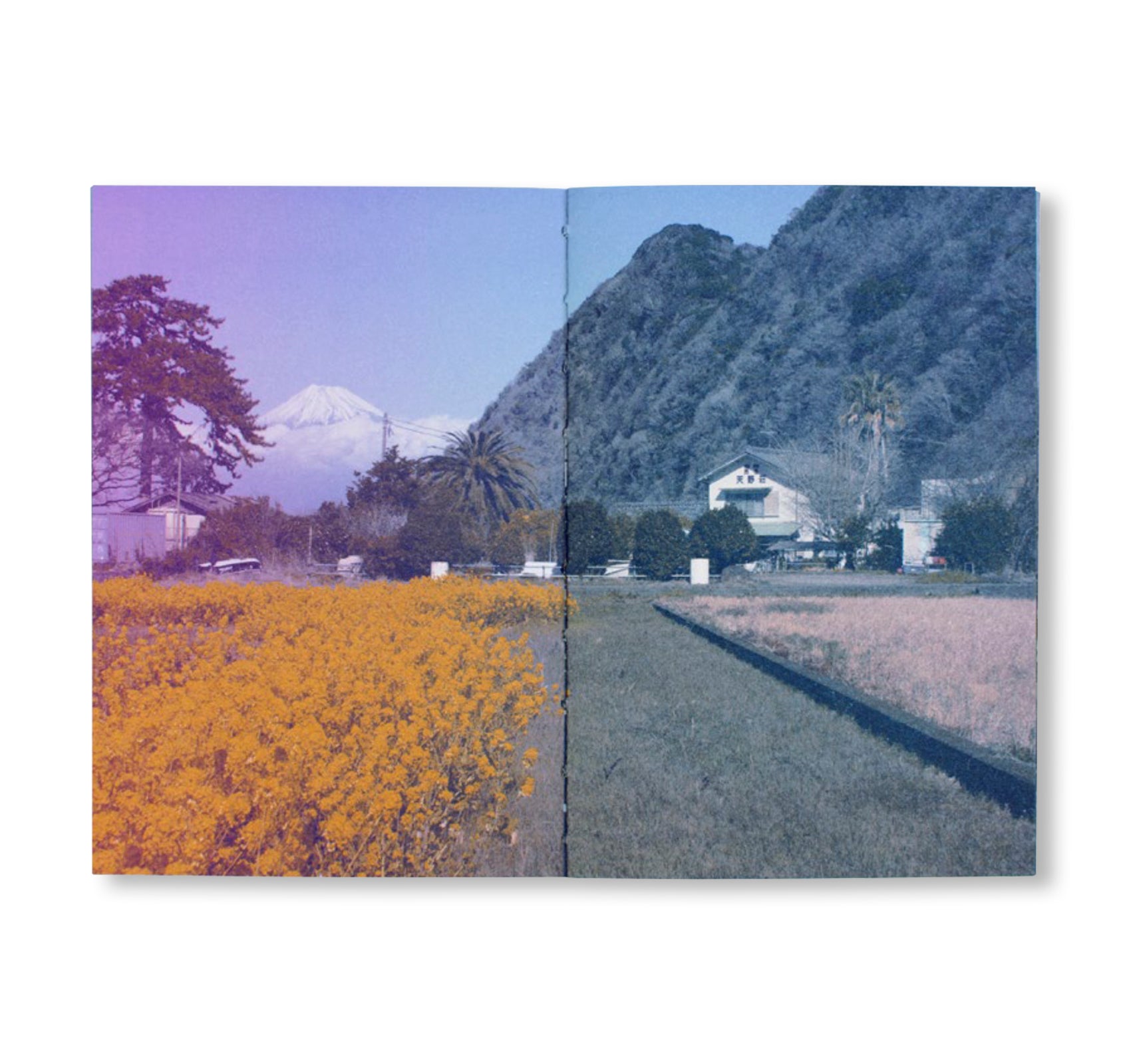 FUJI by Fanette Mellier, Clément Vauchez
