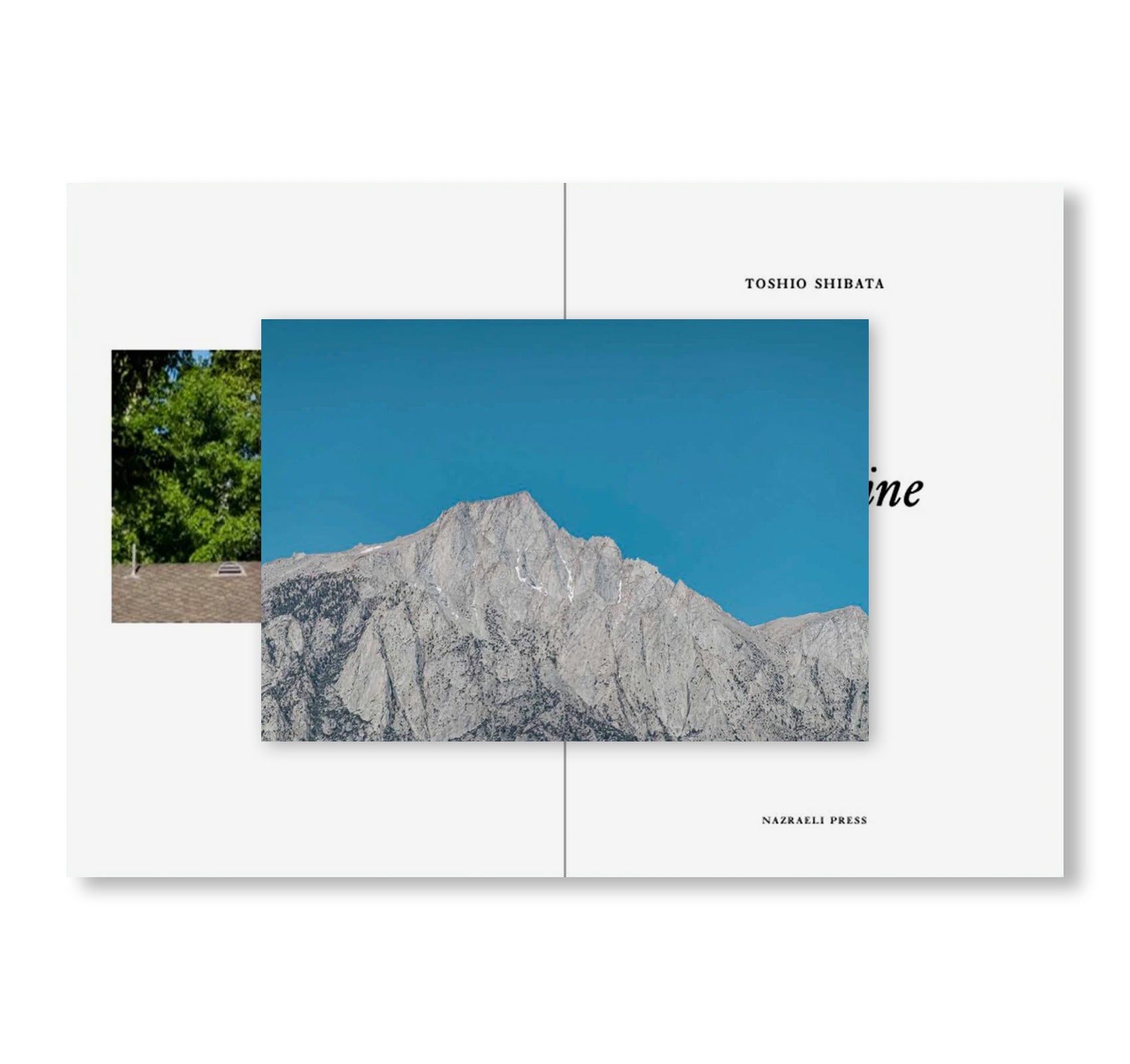 ONE PICTURE BOOK TWO #52: LONE PINE by Toshio Shibata