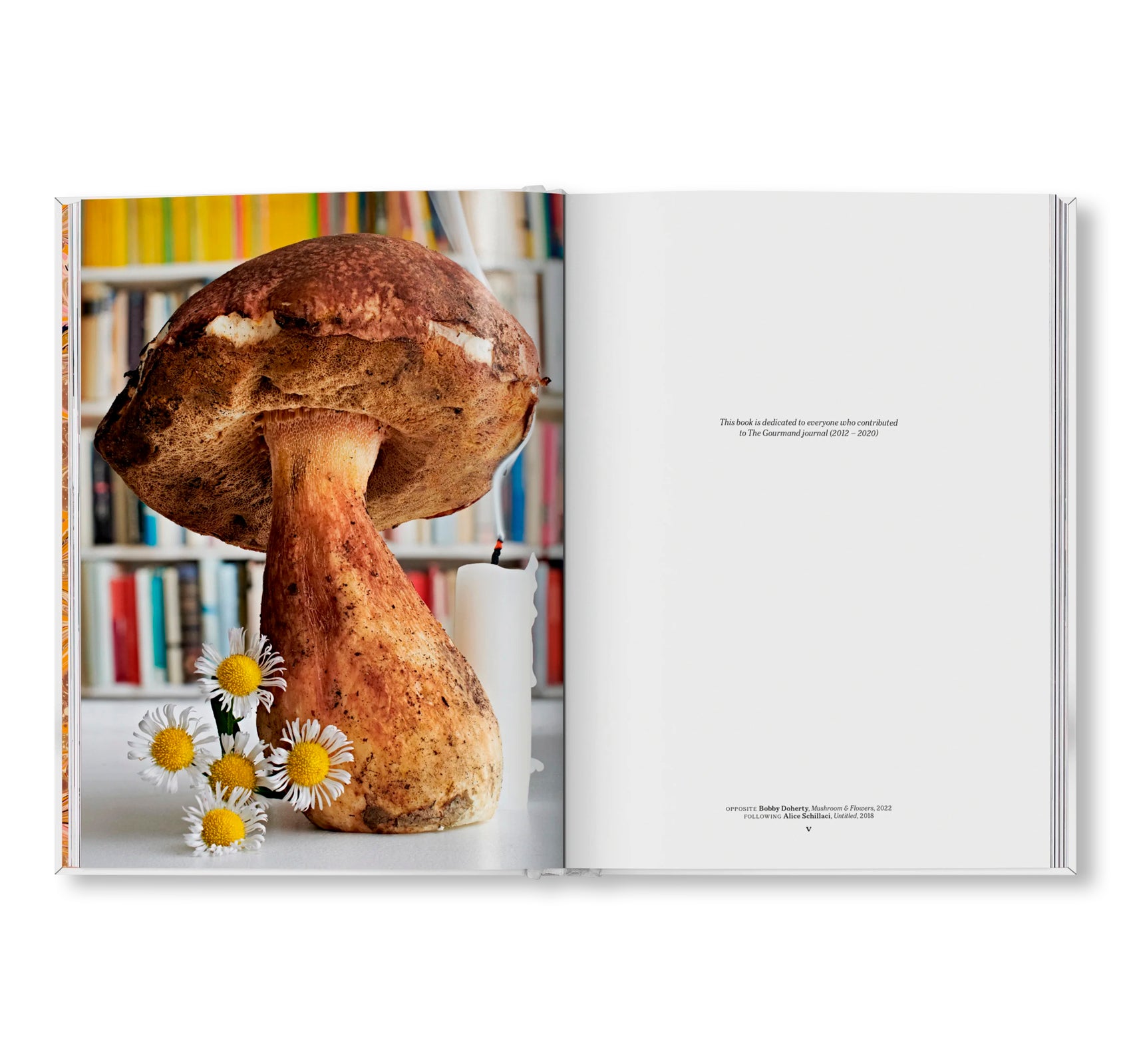 THE GOURMAND'S MUSHROOM. A COLLECTION OF STORIES AND RECIPES by The Gourmand