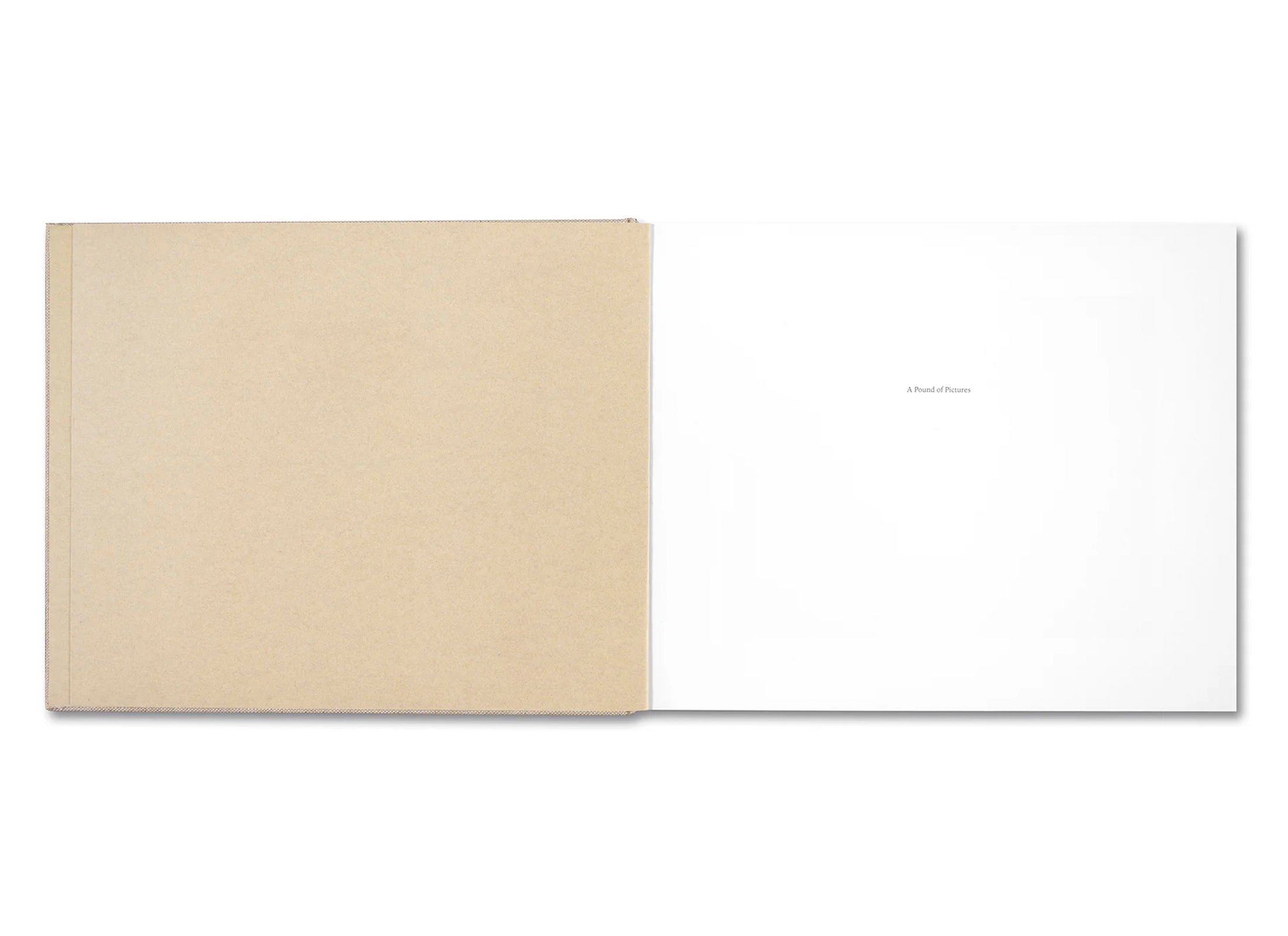 A POUND OF PICTURES by Alec Soth [SIGNED]