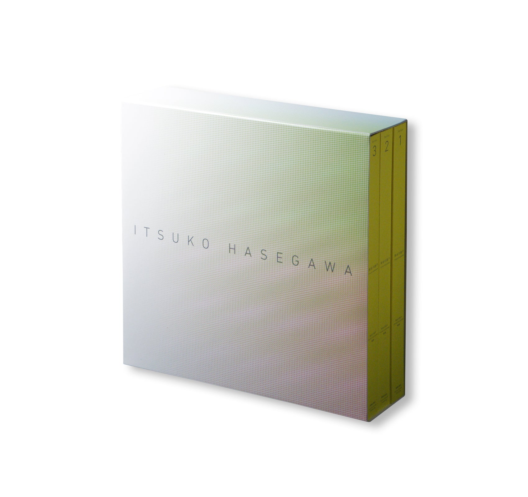 ITSUKO HASEGAWA SECTION 1-3 by Itsuko Hasegawa