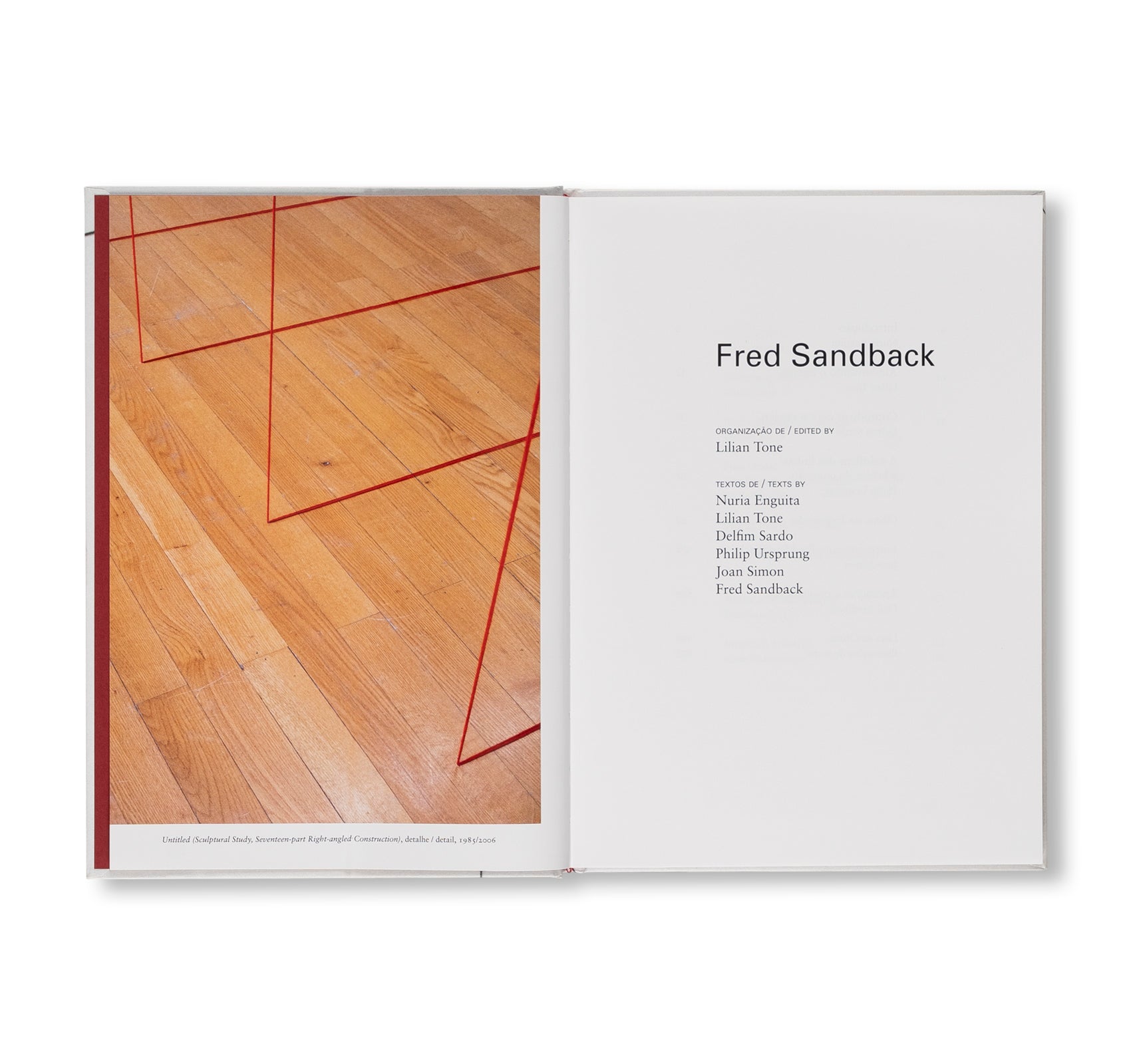 THREADING SPACE by Fred Sandback