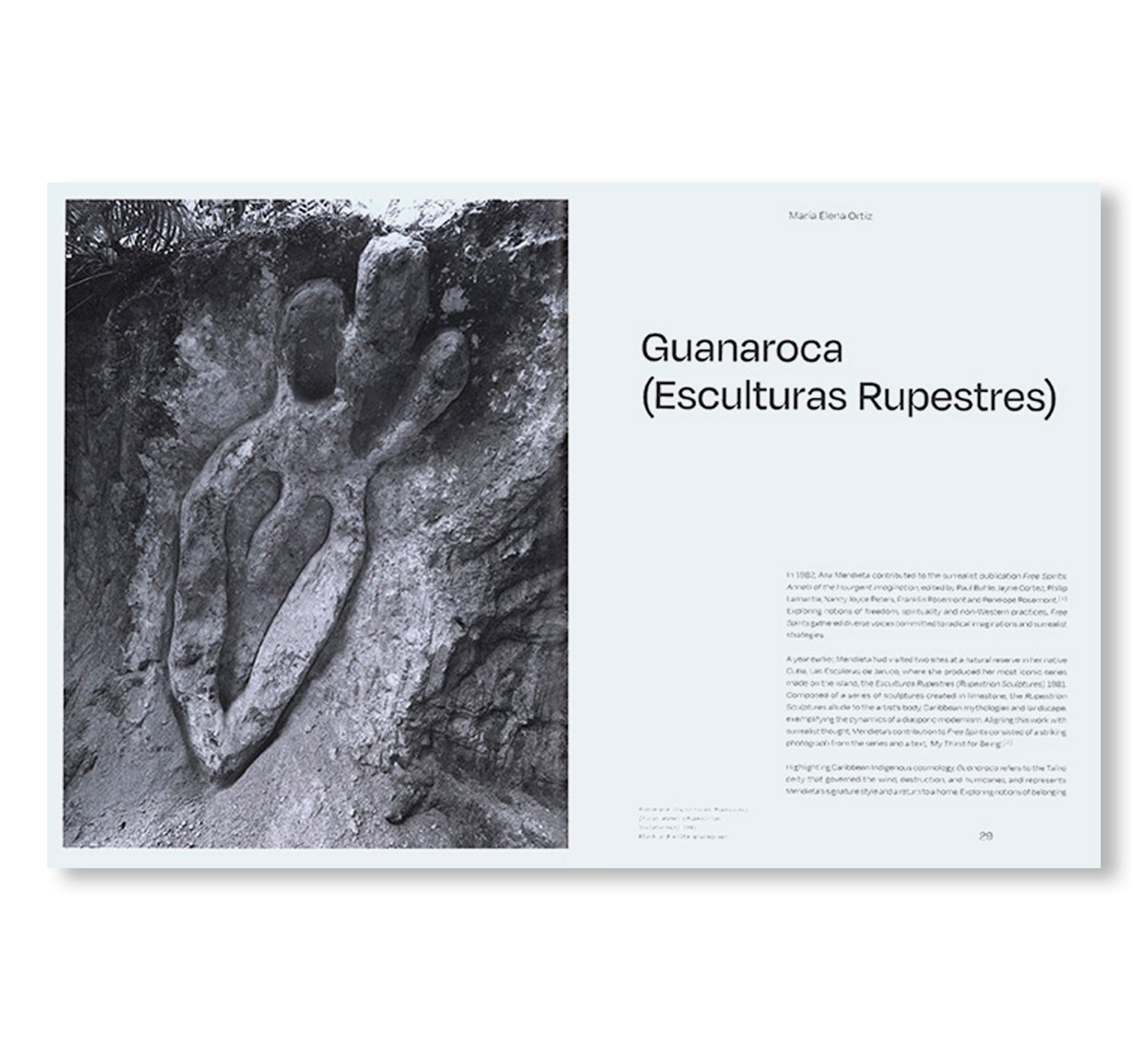 ANA MENDIETA by Ana Mendieta (TATE PUBLISHING)