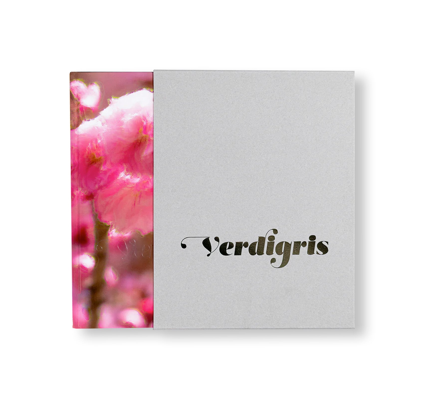 VERDIGRIS / AMBERGRIS by Paul Graham [SIGNED]