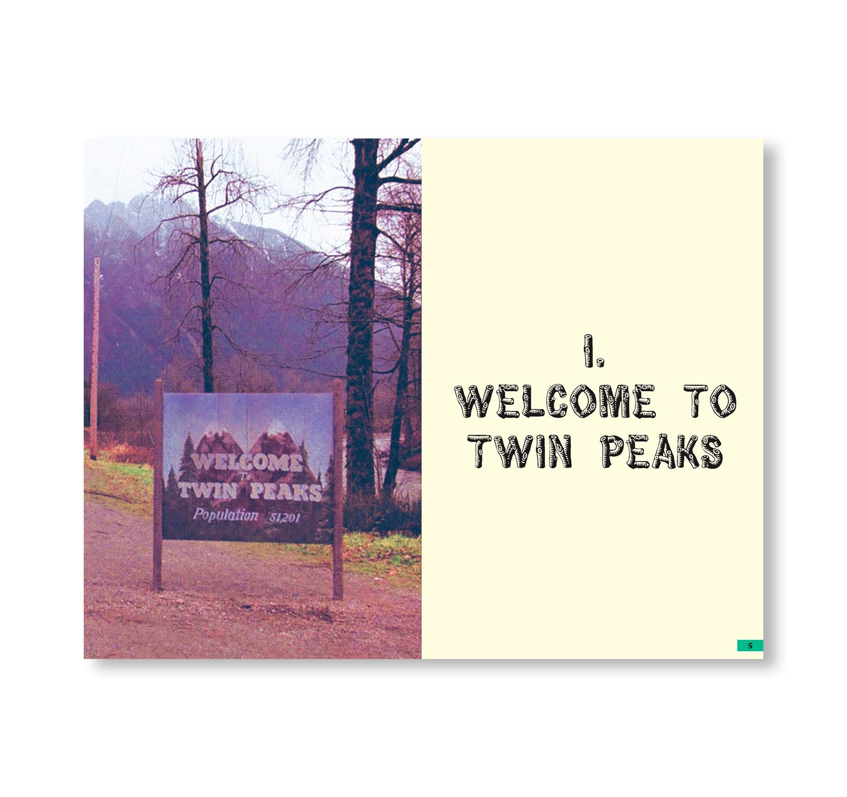 THE MYSTERIES OF TWIN PEAKS by David Lynch, Johan Chiaramonte, Camille Mathieu
