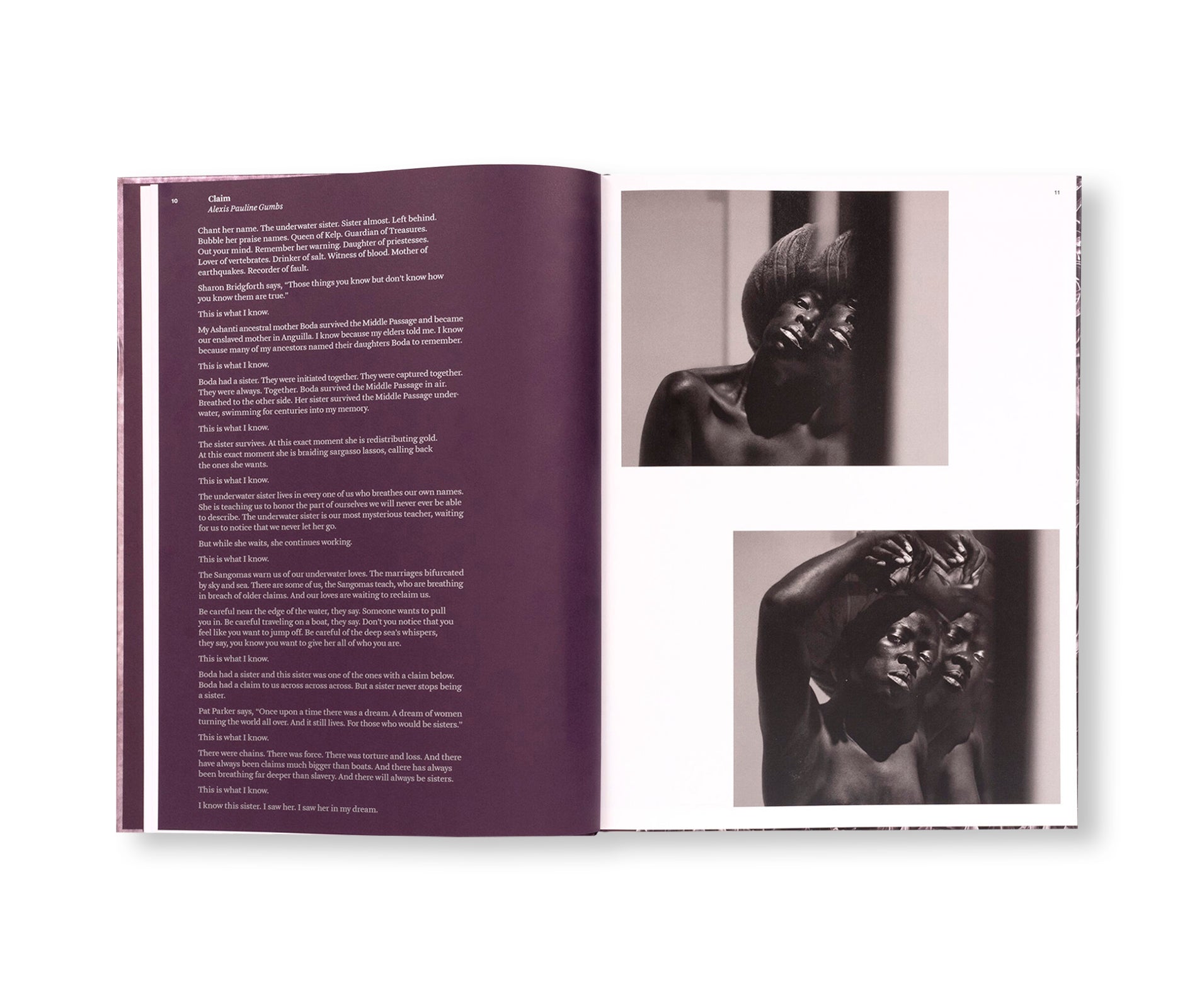 SOMNYAMA NGONYAMA, HAIL THE DARK LIONESS, VOL. II by Zanele Muholi