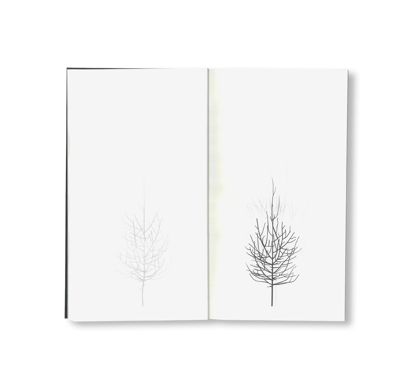 WINTER DRAWINGS by Peter Liversidge