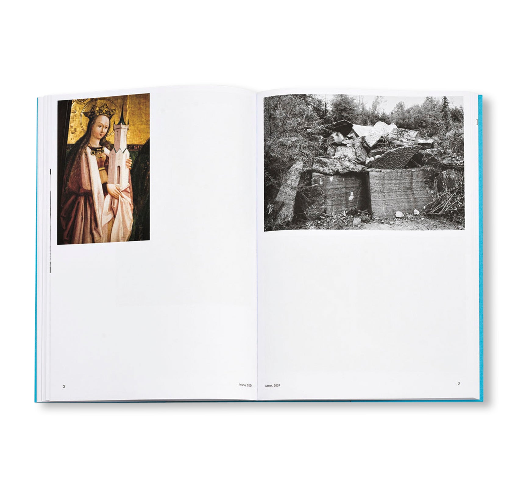 AUTOFICTIONS IN STONE by Aglaia Konrad