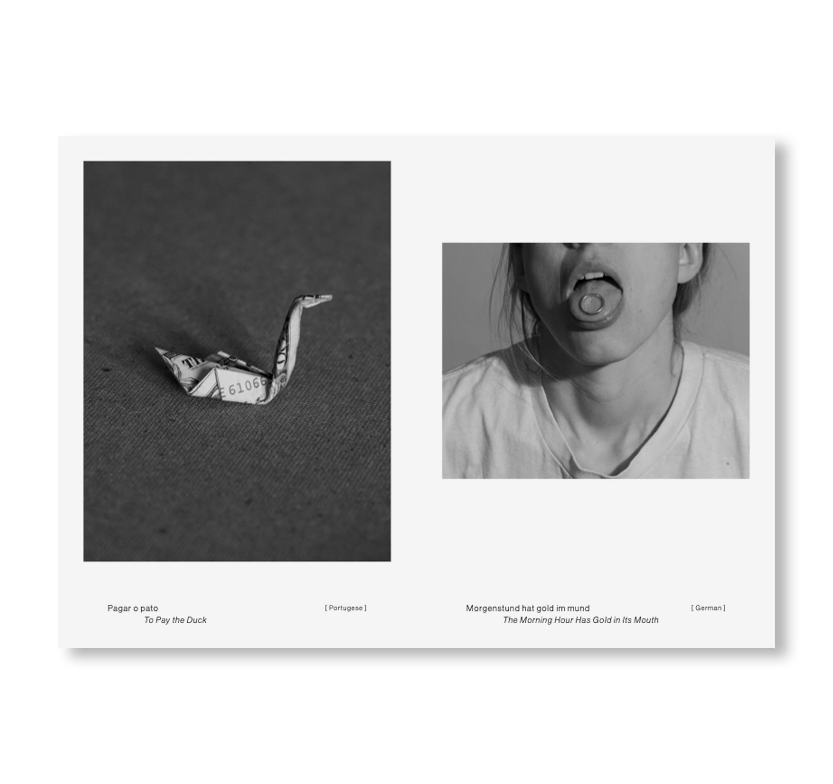 A CONGREGATION OF CLOUDS - N° 4 TO WEAR A CAT ON YOUR HEAD by Polly Brown [INDIVIDUAL ZINES]