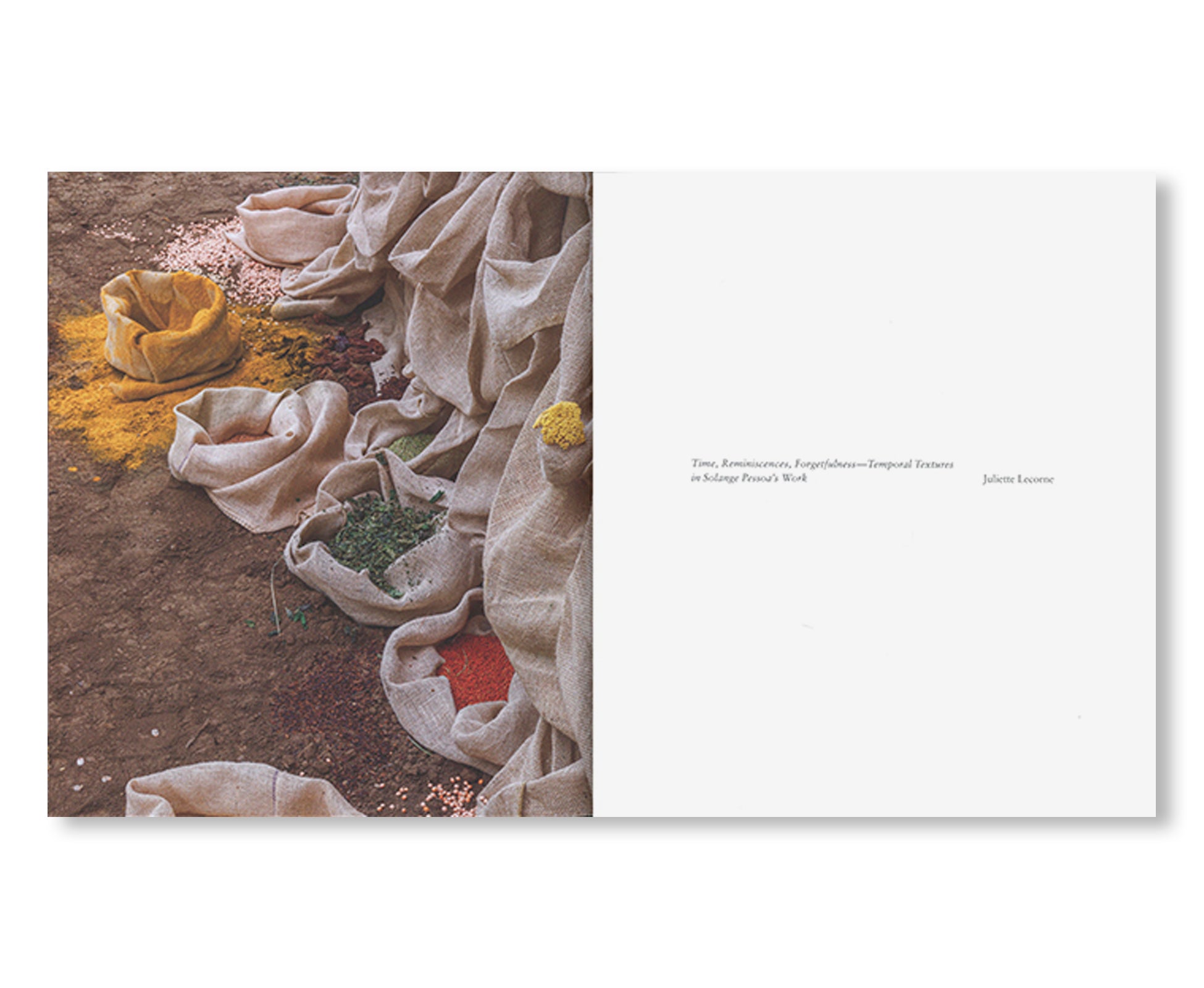 SOLANGE PESSOA (2023) by Solange Pessoa