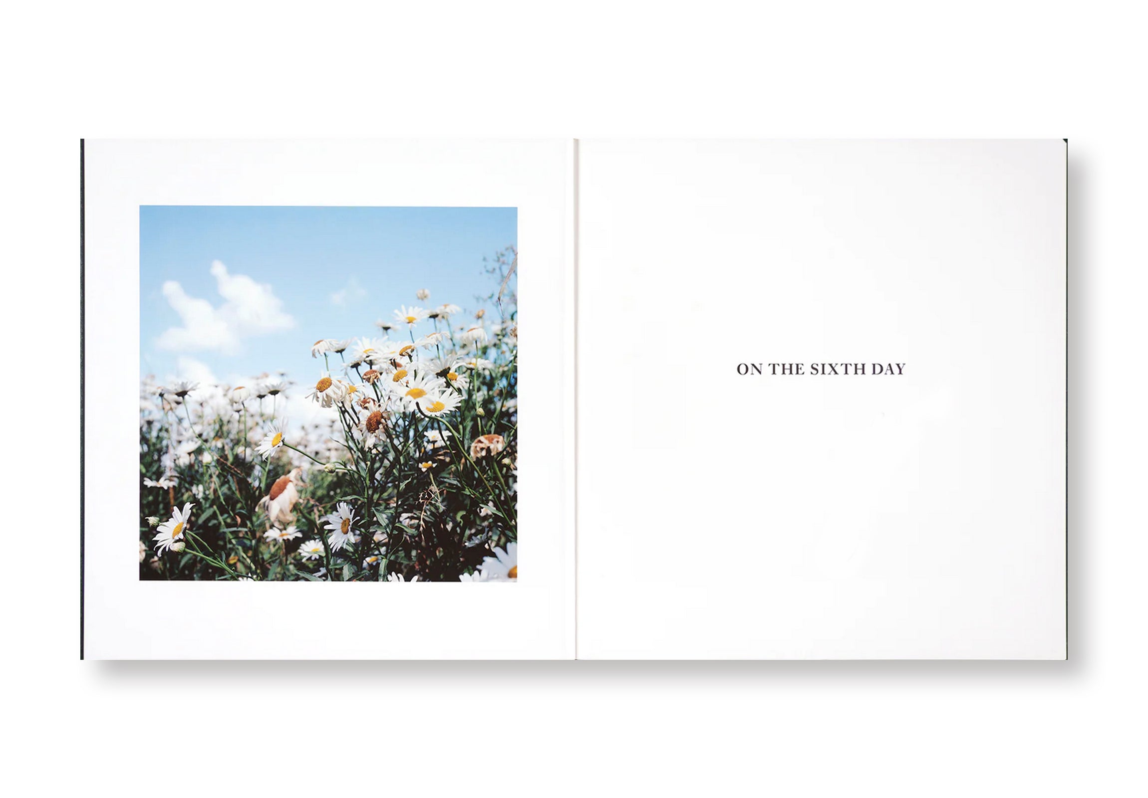 ON THE SIXTH DAY by Alessandra Sanguinetti