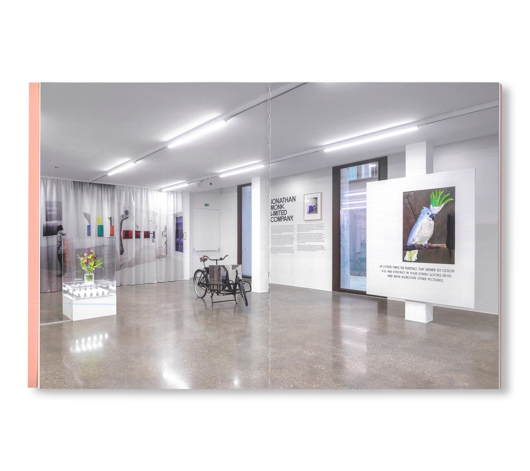 LIMITED COMPANY by Jonathan Monk