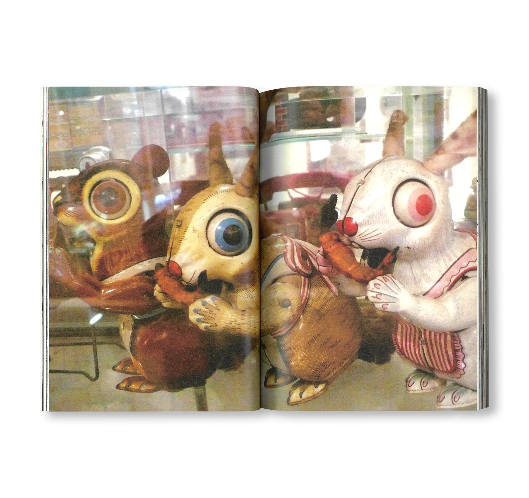 DOUBLE LUNAR RABBITS / 2匹の月のうさぎ by Joan Jonas