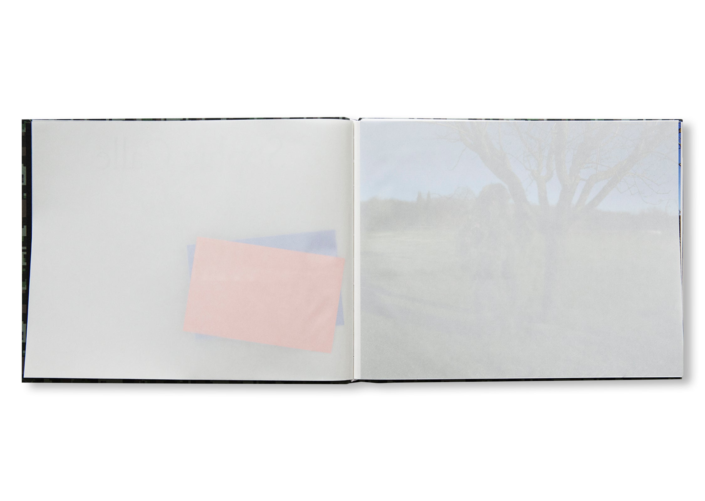 ON THE HUNT by Sophie Calle