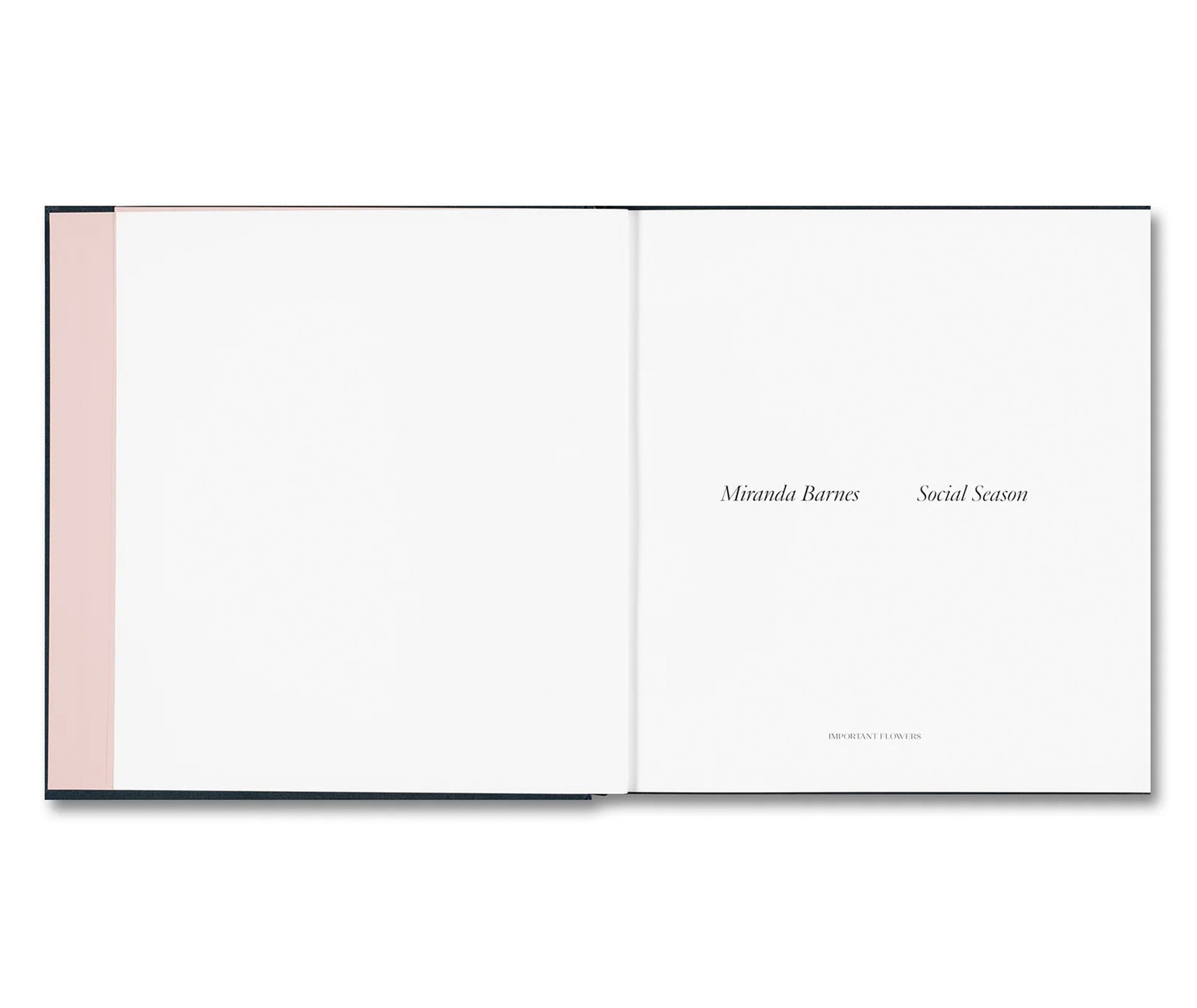 SOCIAL SEASON by Miranda Barnes