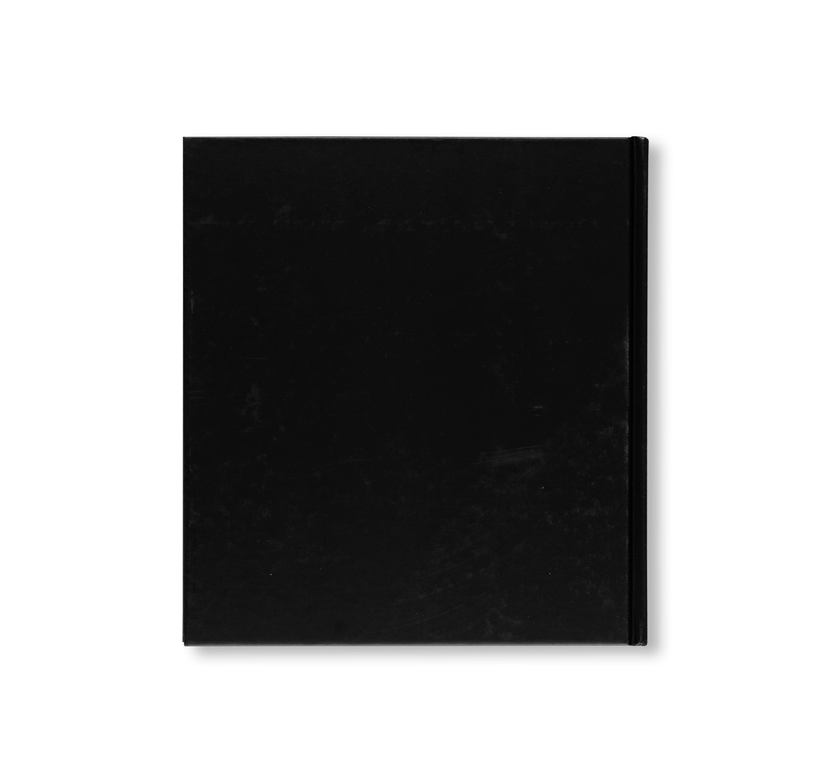 HIROSHI SUGIMOTO: GATES OF PARADISE by Hiroshi Sugimoto