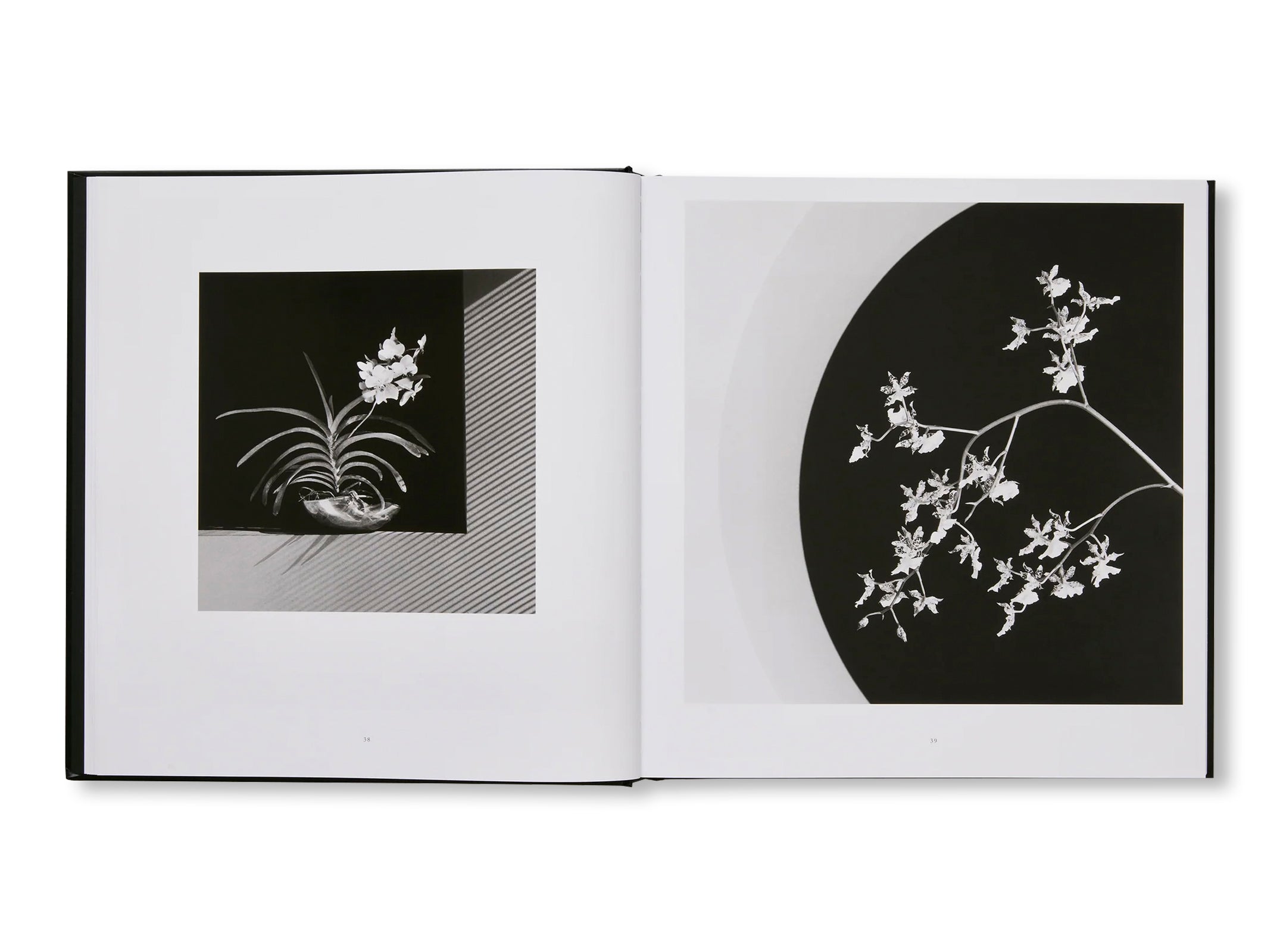 MAPPLETHORPE FLORA: THE COMPLETE FLOWERS by Robert Mapplethorpe [NEW EDITION]