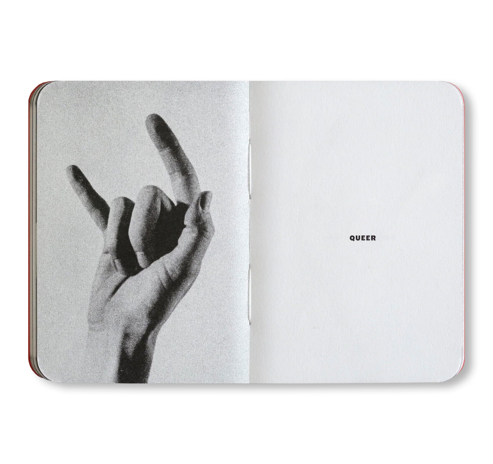 THE SMALL BOOK OF ENDANGERED GESTURES by Bruce Eesly