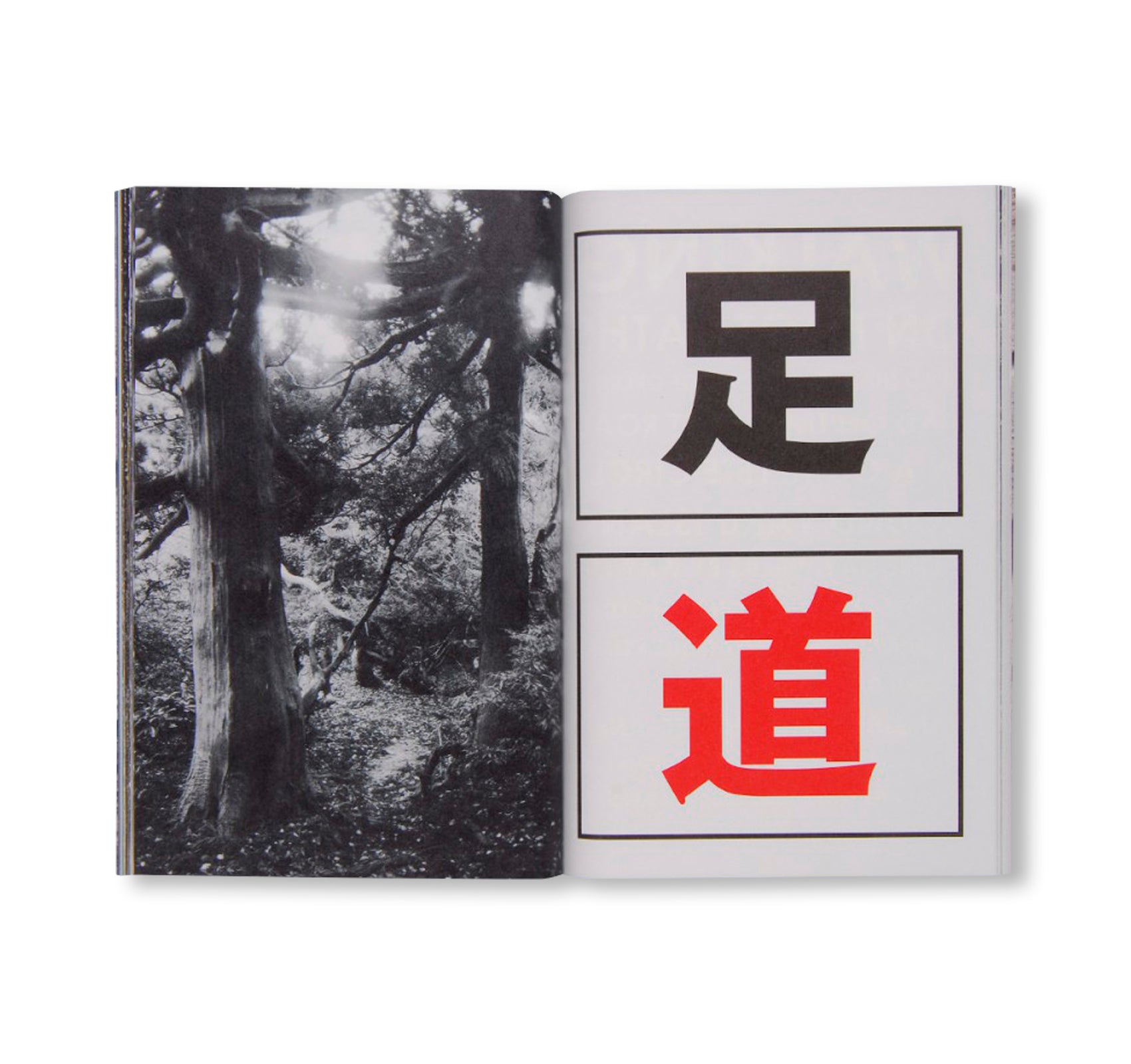 OLD TREE / 古木 by Hamish Fulton