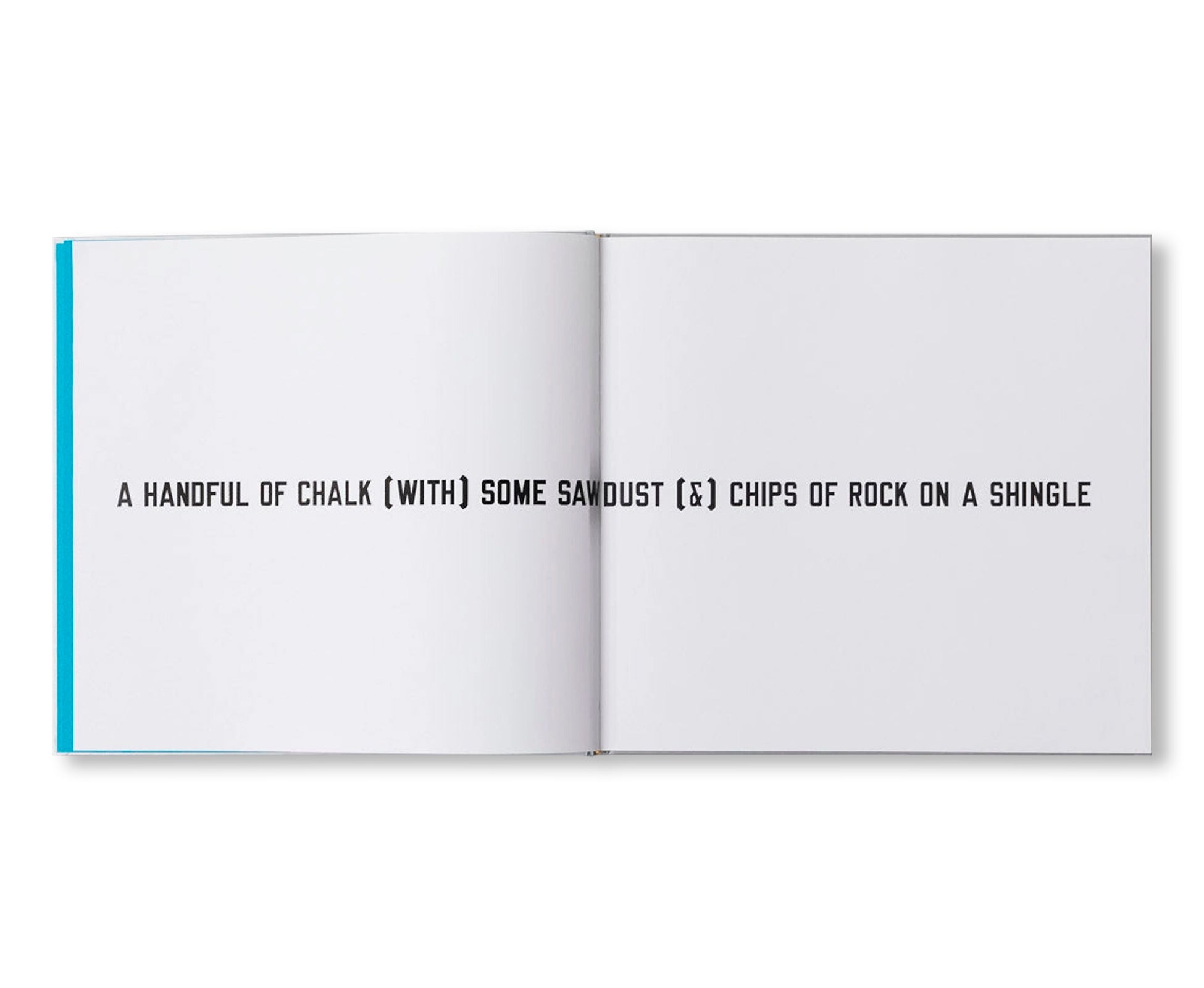 LAWRENCE WEINER: AS OFTEN AS NOT by Lawrence Weiner