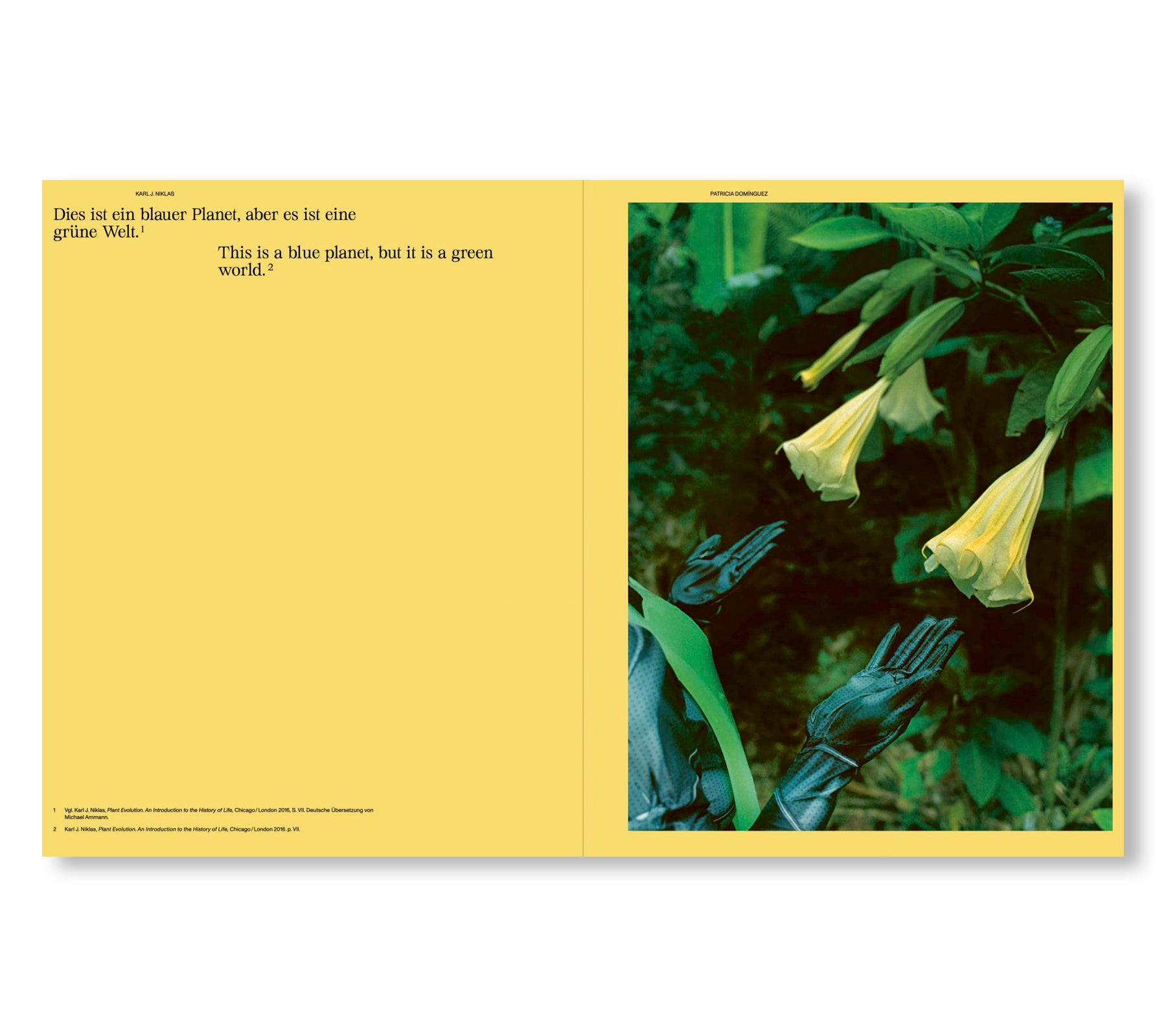 THE SENSES OF PLANTS