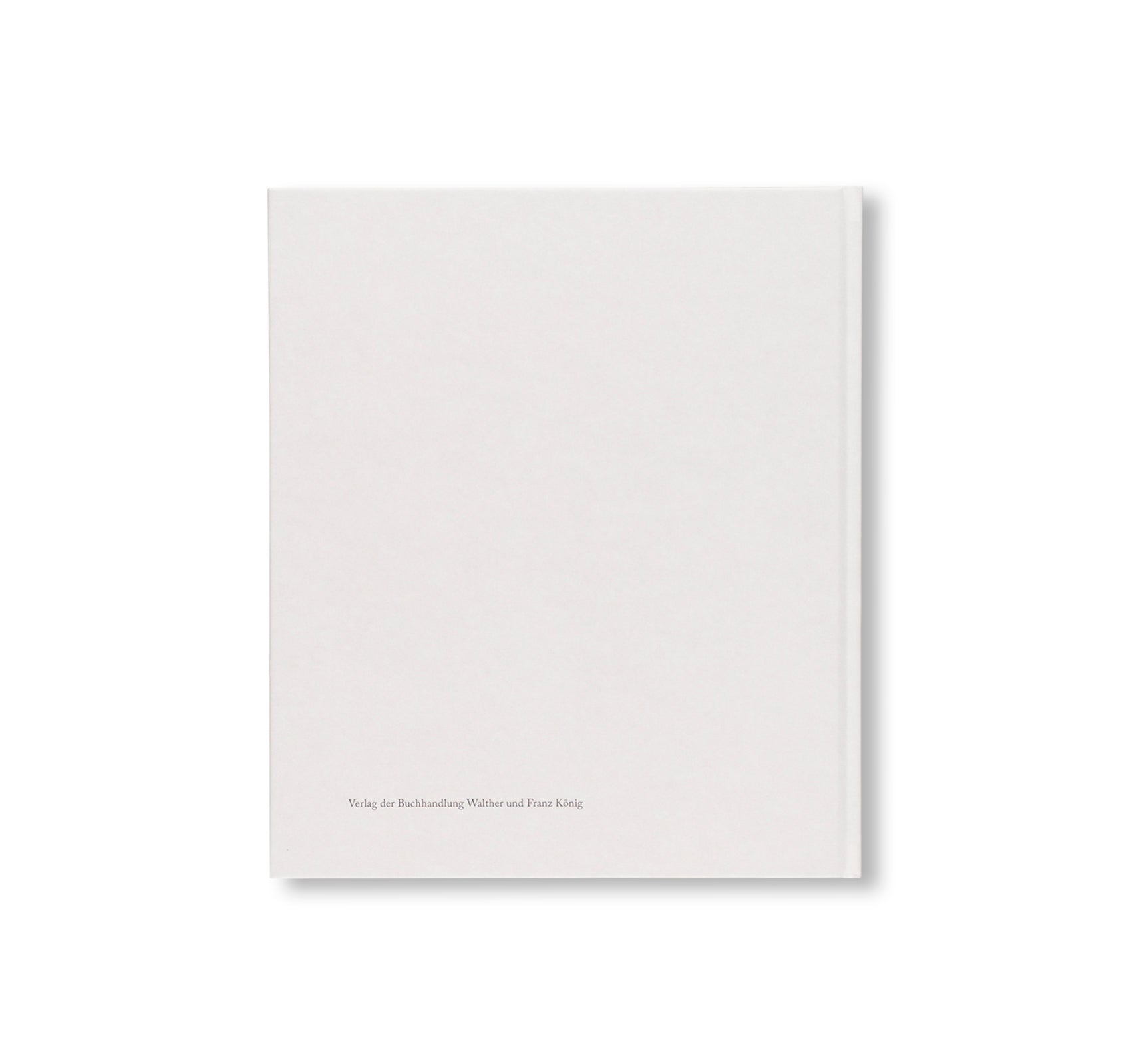 I HEAR THE ANCIENT MUSIC OF WORKS AND WORKS, YES, THAT’S IT. by Vincent Fecteau, Florian Pumhösl