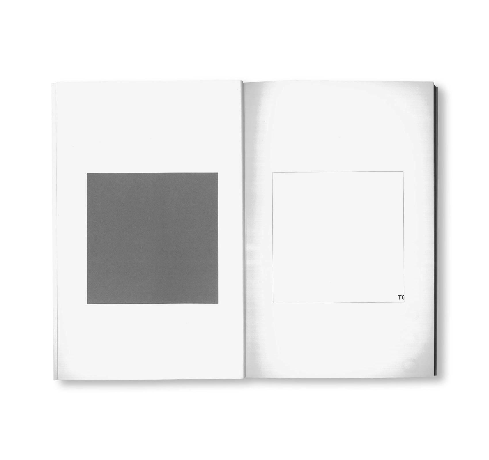 MANY by Peter Downsbrough