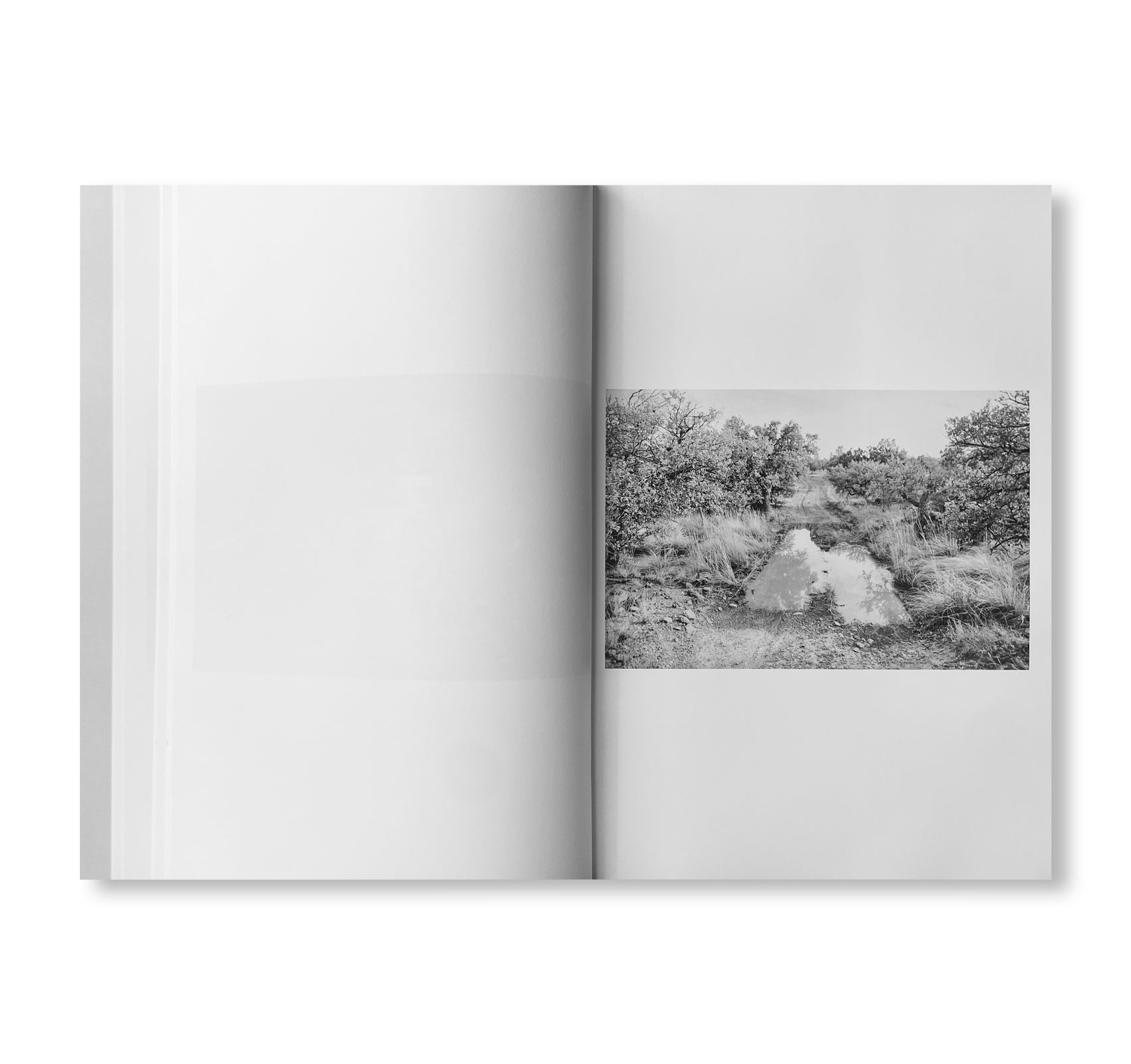 ROAD by Christopher Wool [SIGNED]