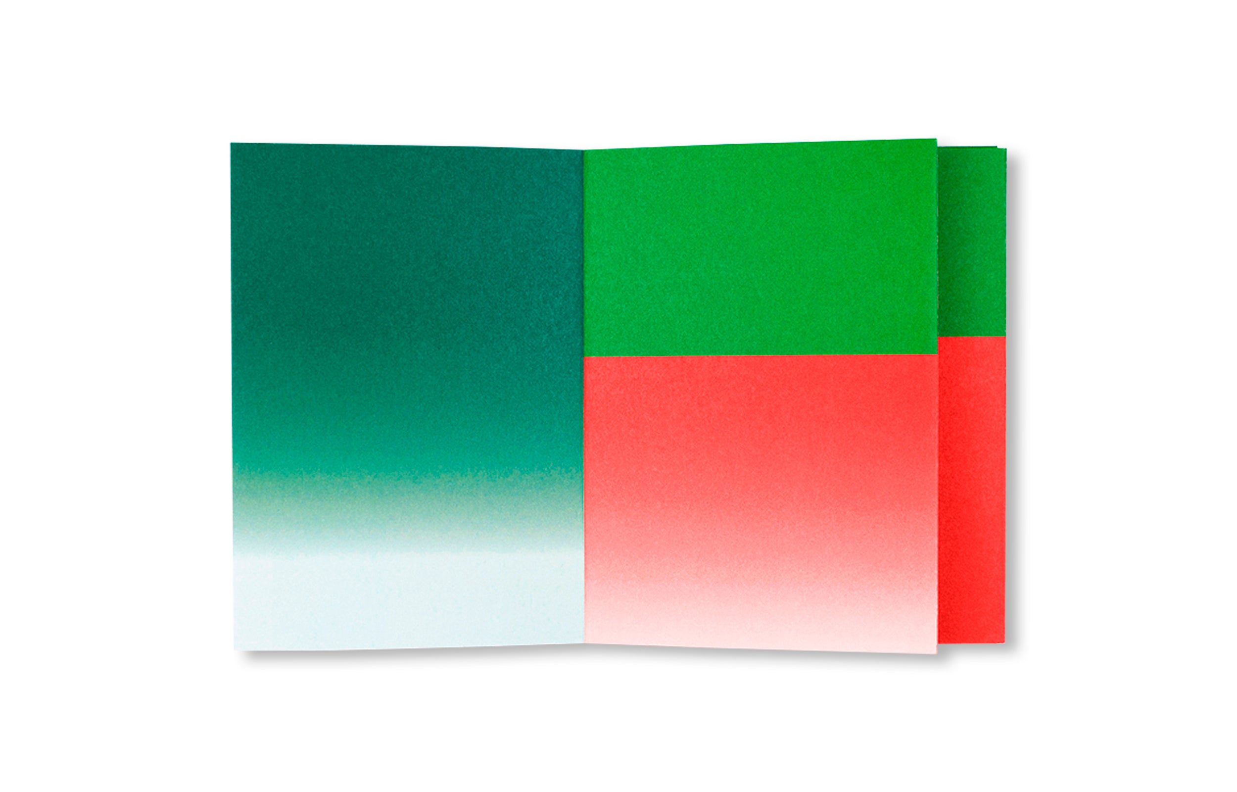 HELLO TOMATO by Marion Caron, Camille Trimardeau [SECOND EDITION]