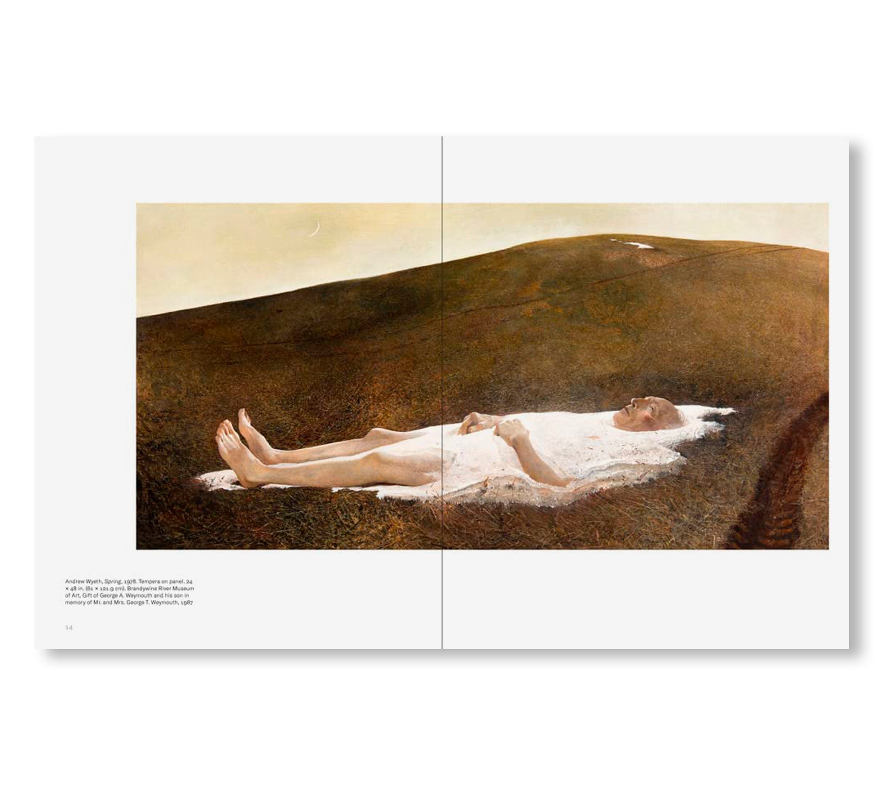 LIFE AND DEATH by Andrew Wyeth