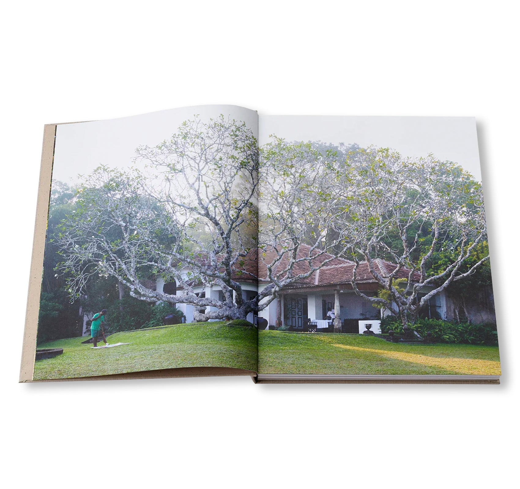 GEOFFREY BAWA: ARCHITECTURE FOR THE SENSES by Geoffrey Bawa