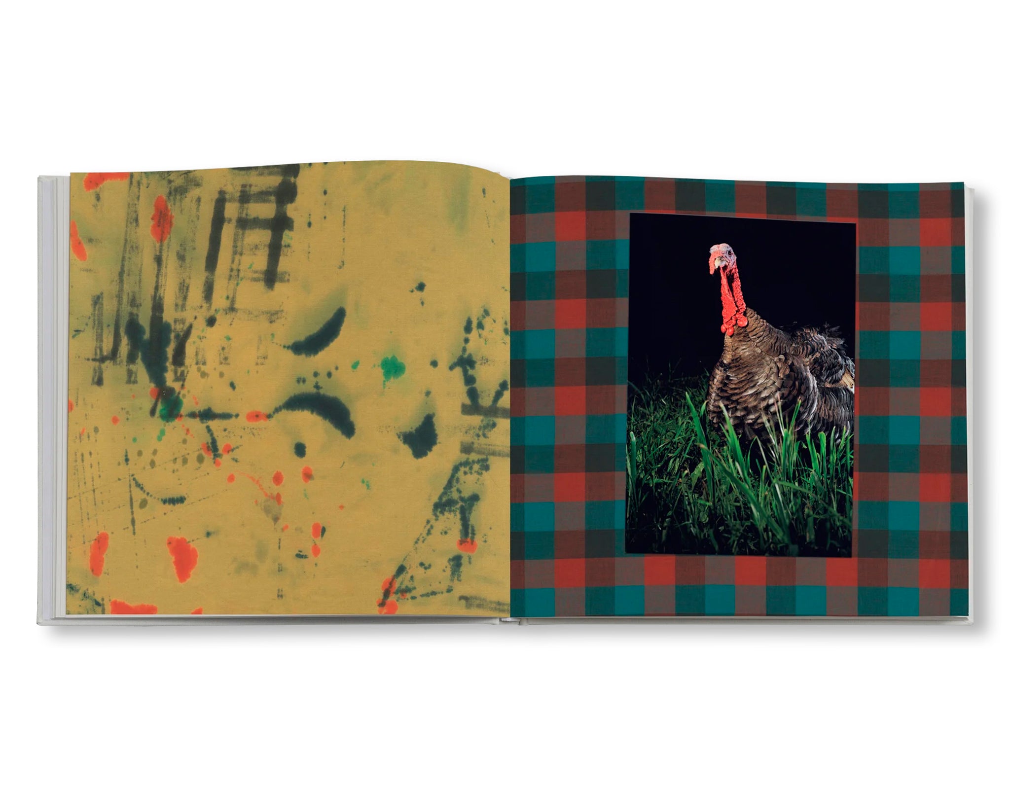 STONE SOUP by Eric Ruby