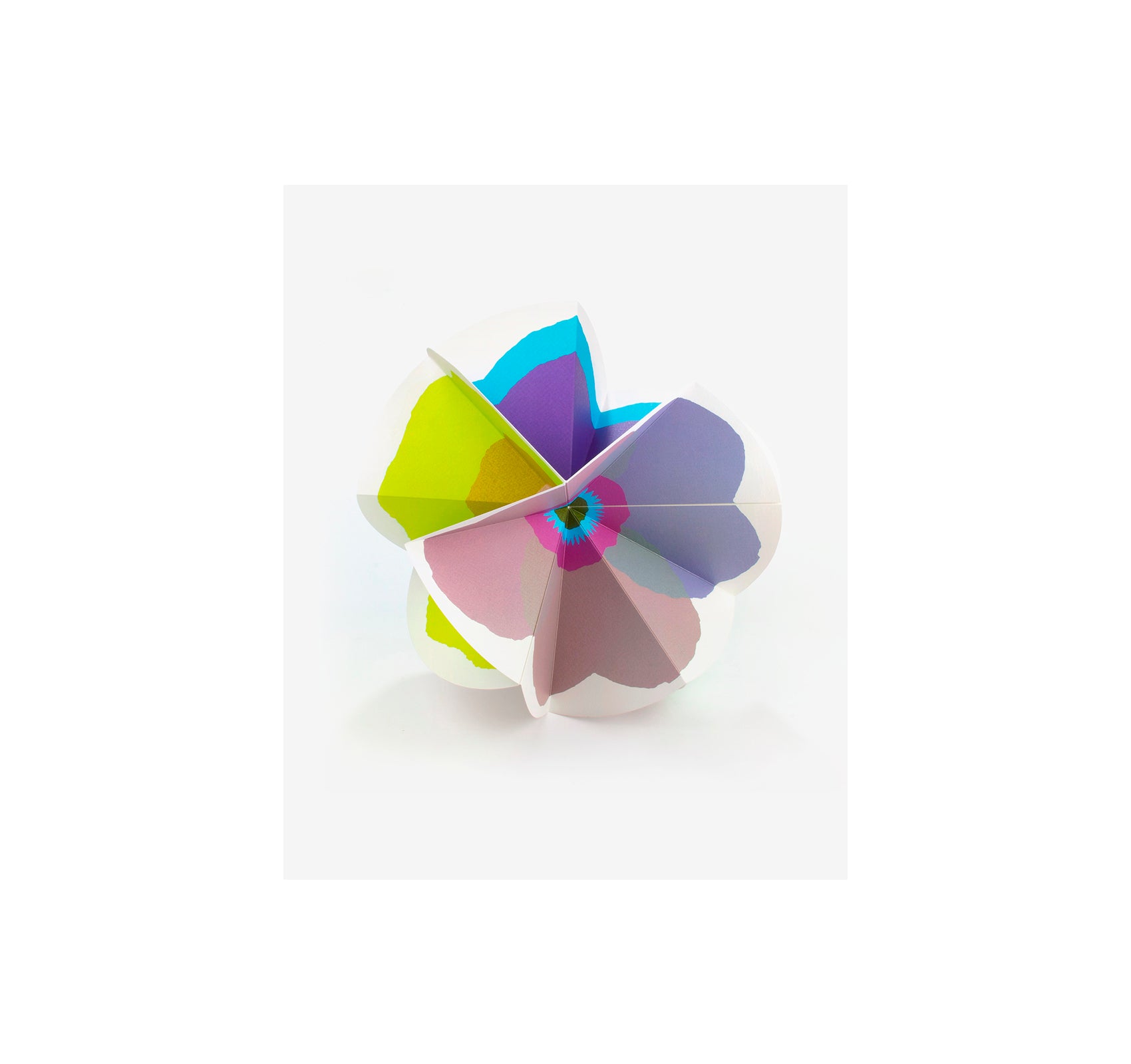 BLOOM by Julie Safirstein [SECOND EDITION]
