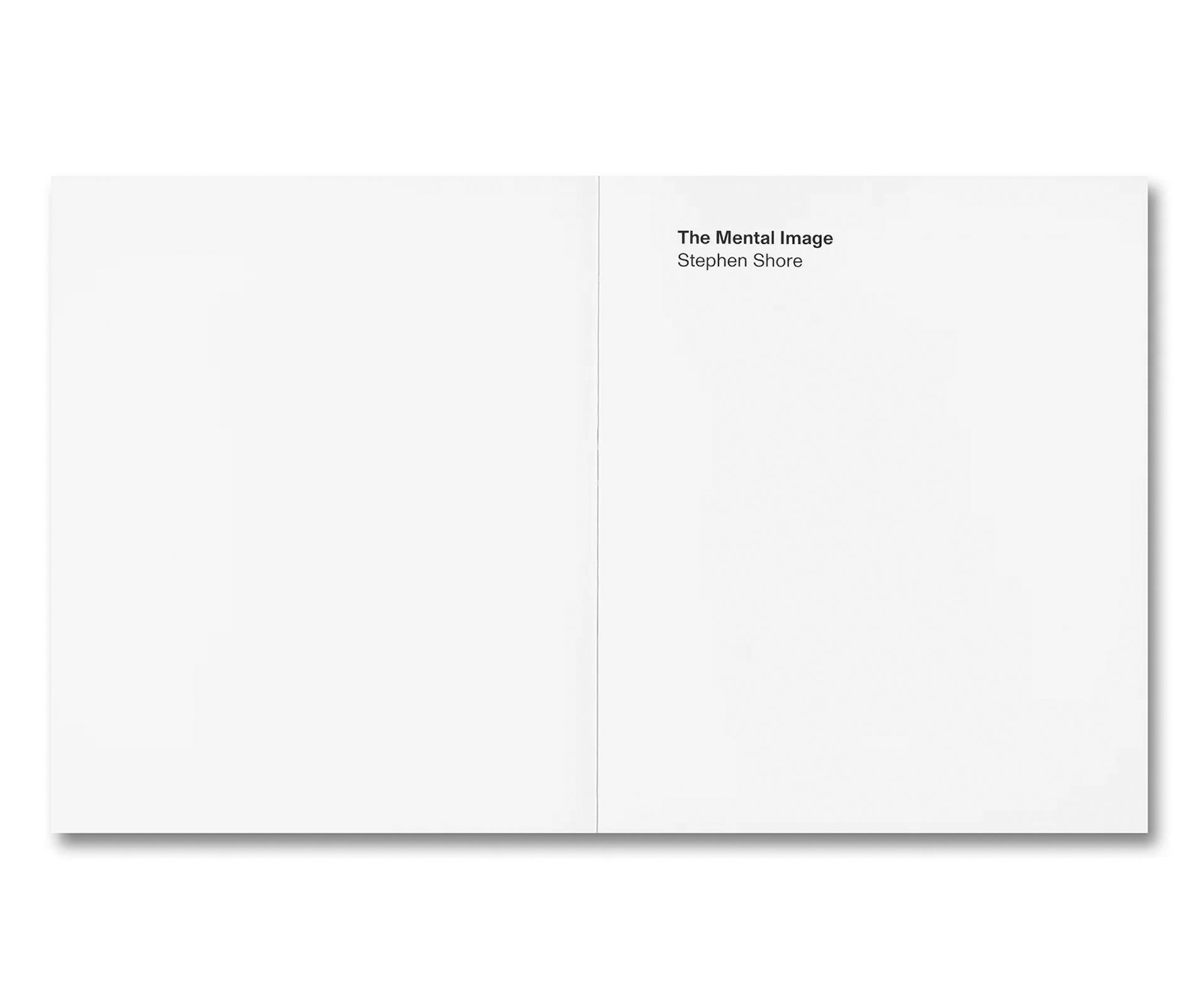 THE MENTAL IMAGE by Stephen Shore