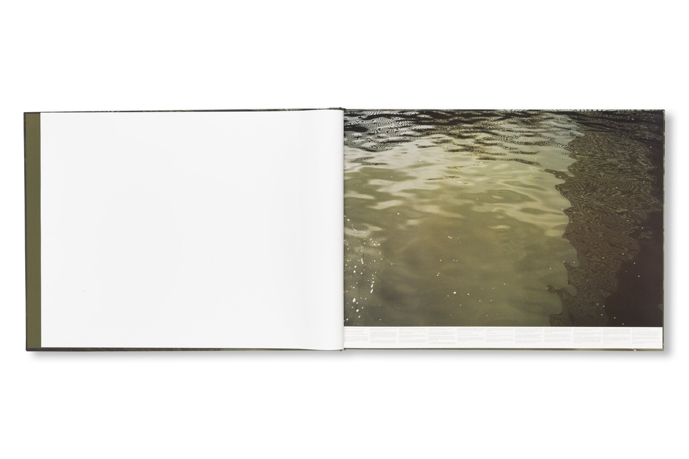 STILL WATER by Roni Horn