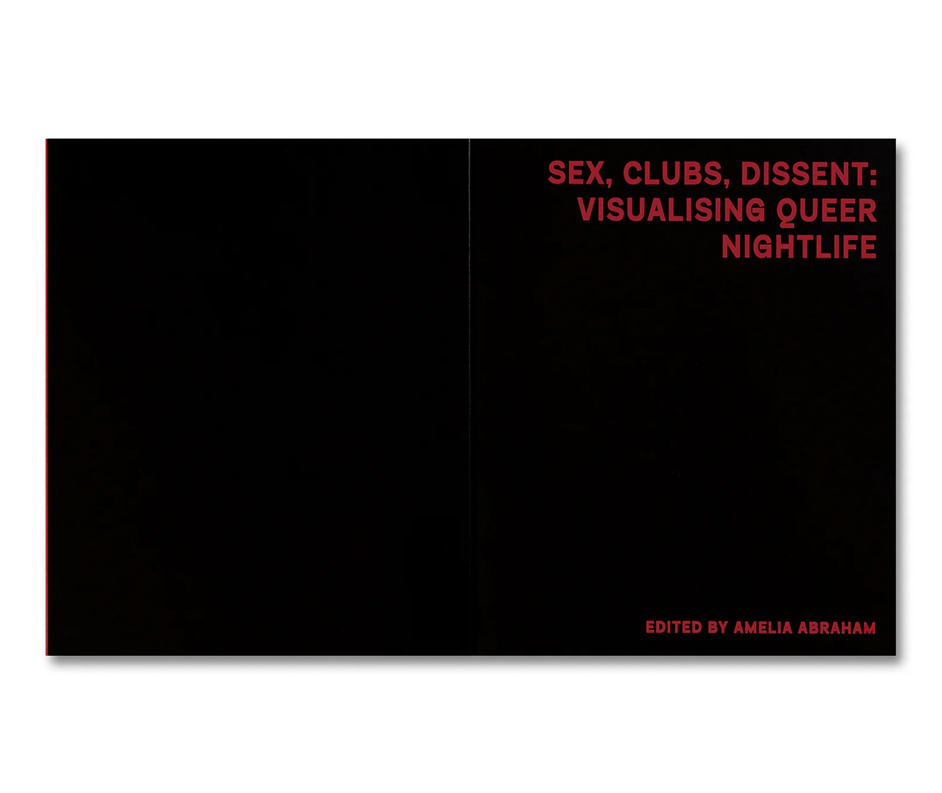 SEX, CLUBS, DISSENT: VISUALISING QUEER NIGHTLIFE by Amelia Abraham