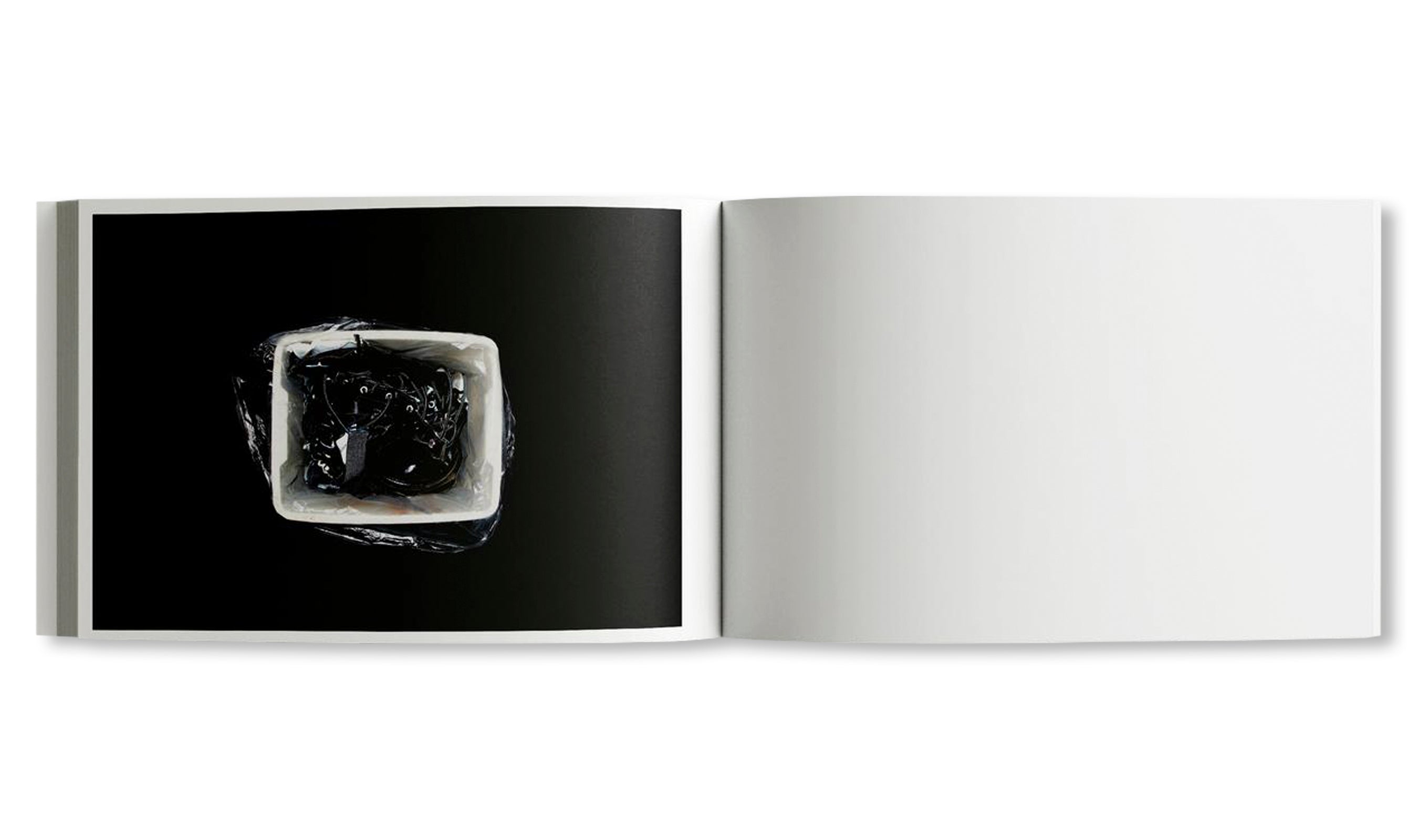 PORTRAIT OF A CITY by Dean Sameshima